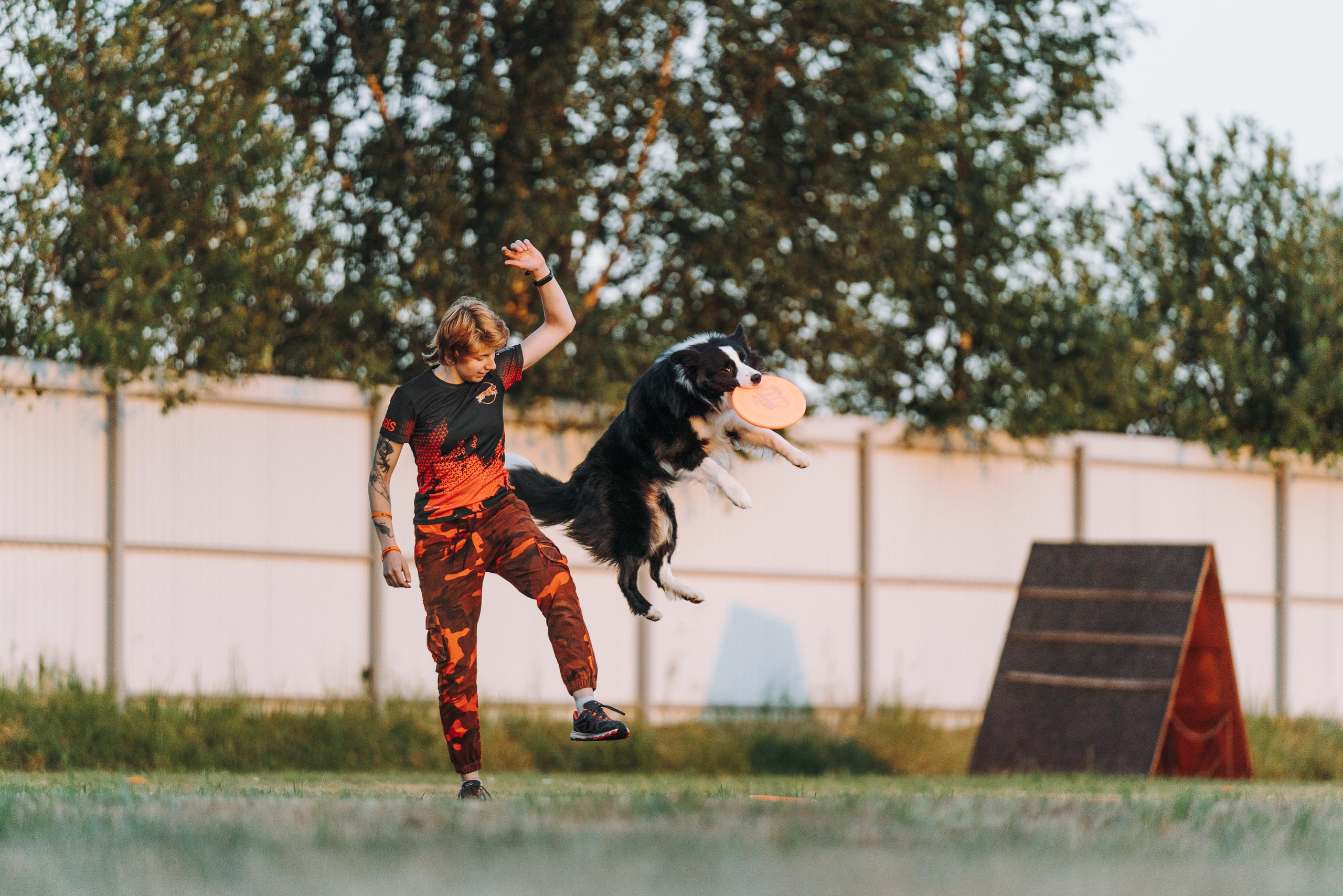 Фрисби игры UpDog. Фотограф анималист Осипчикова Мария