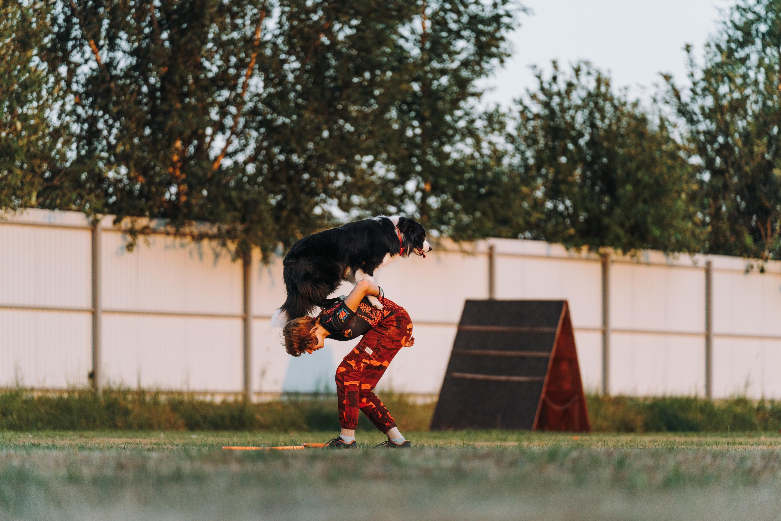 Фрисби игры UpDog. Фотограф анималист Осипчикова Мария