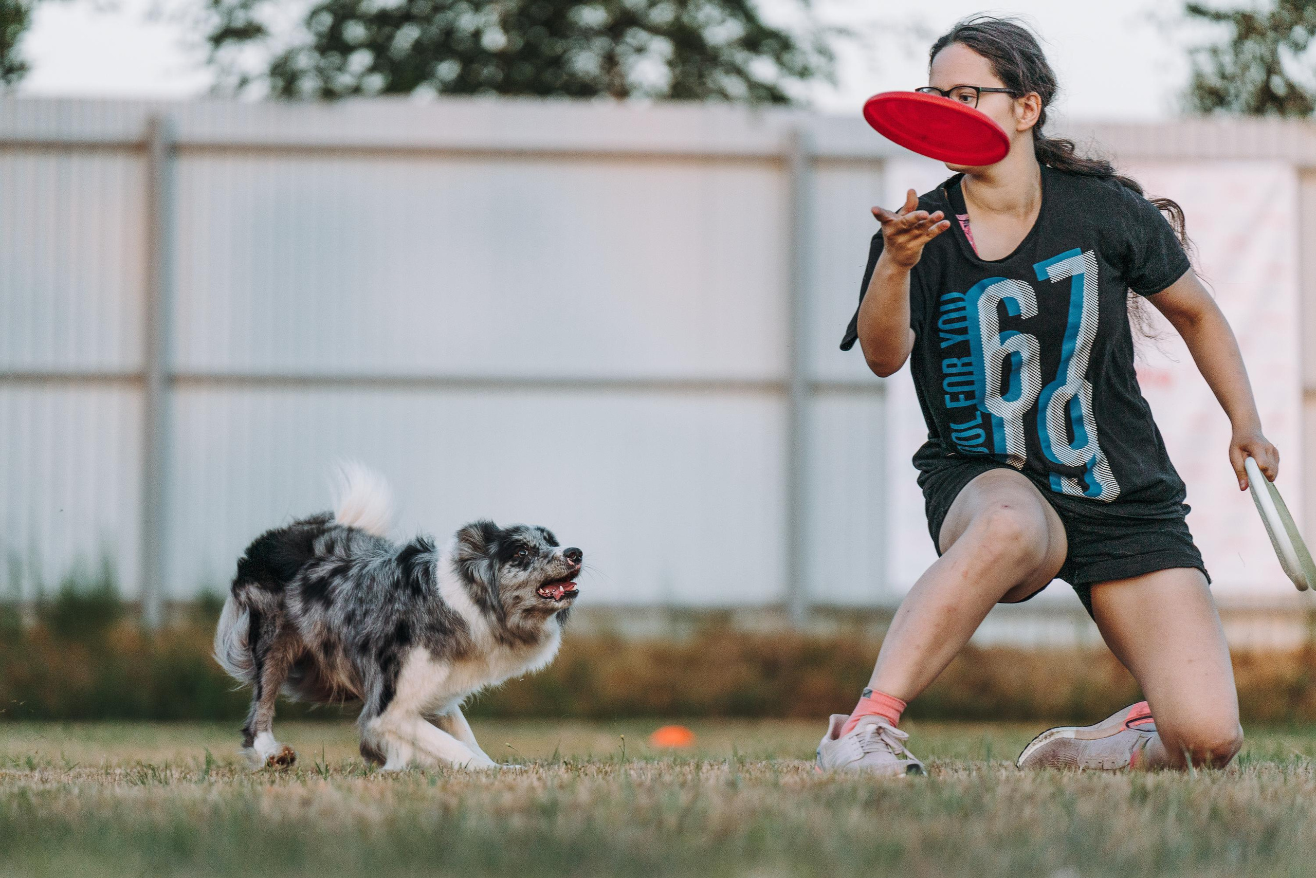 Фрисби игры UpDog. Фотограф анималист Осипчикова Мария