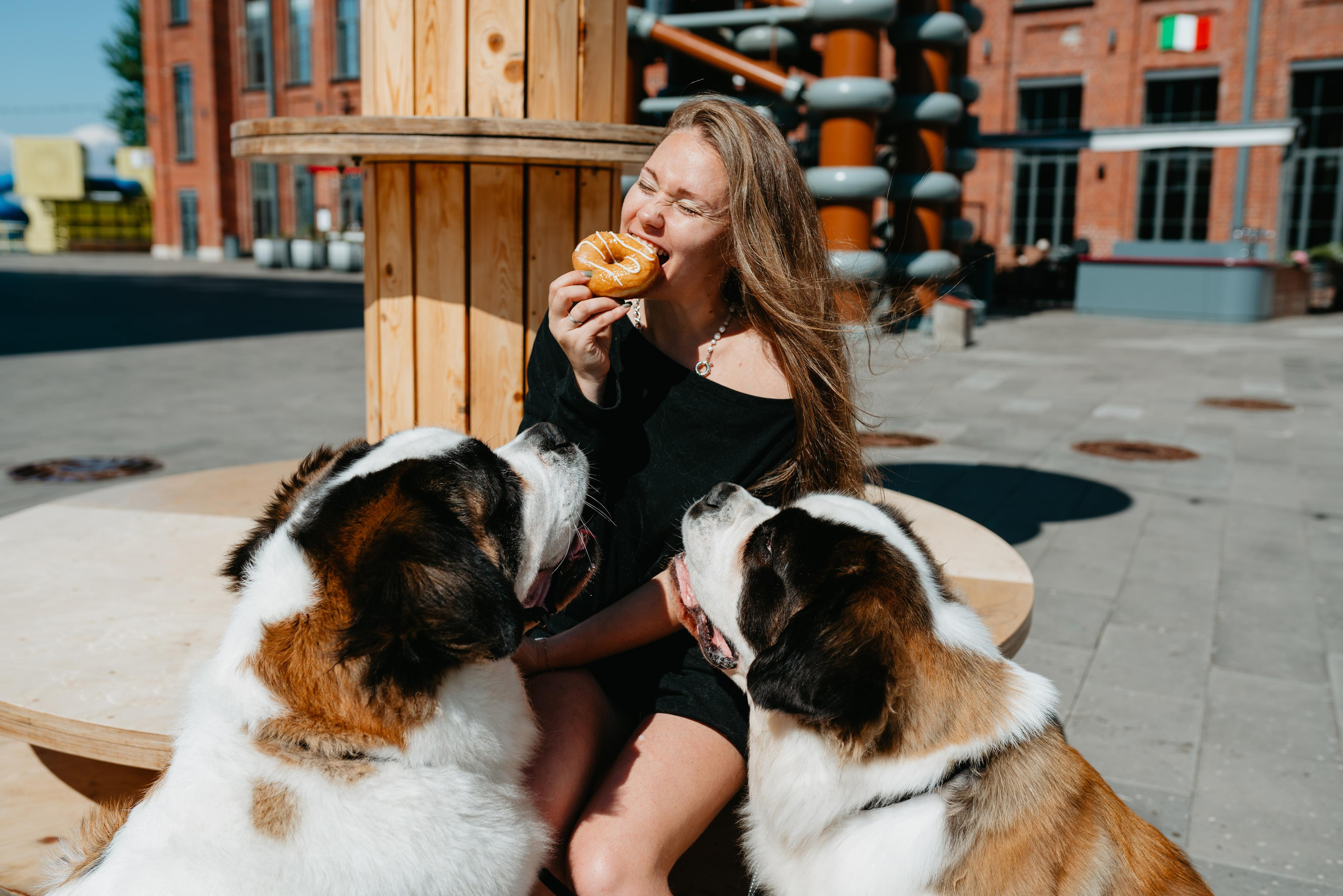 Оля, Молли и Эмми. Фотограф анималист Осипчикова Мария