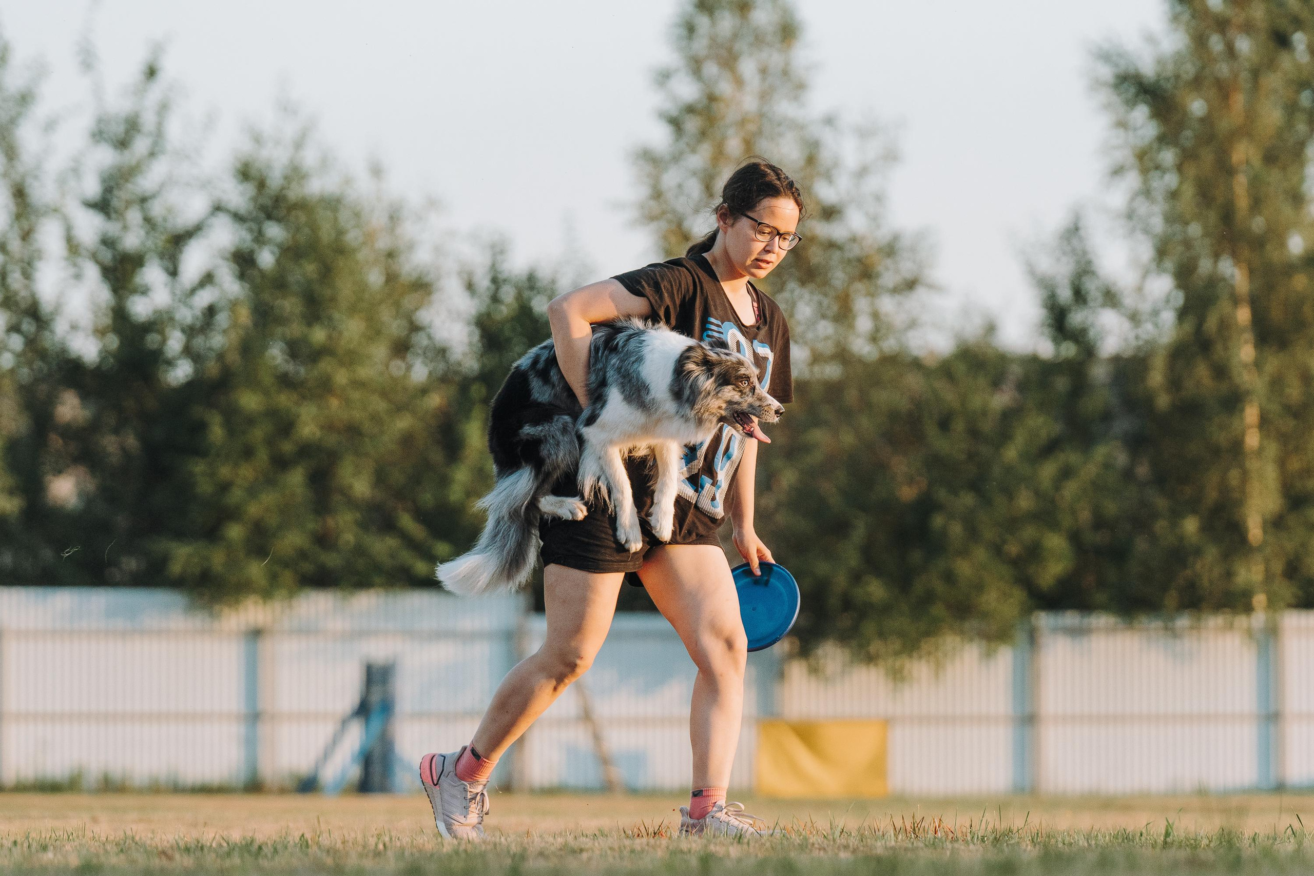 Фрисби игры UpDog. Фотограф анималист Осипчикова Мария