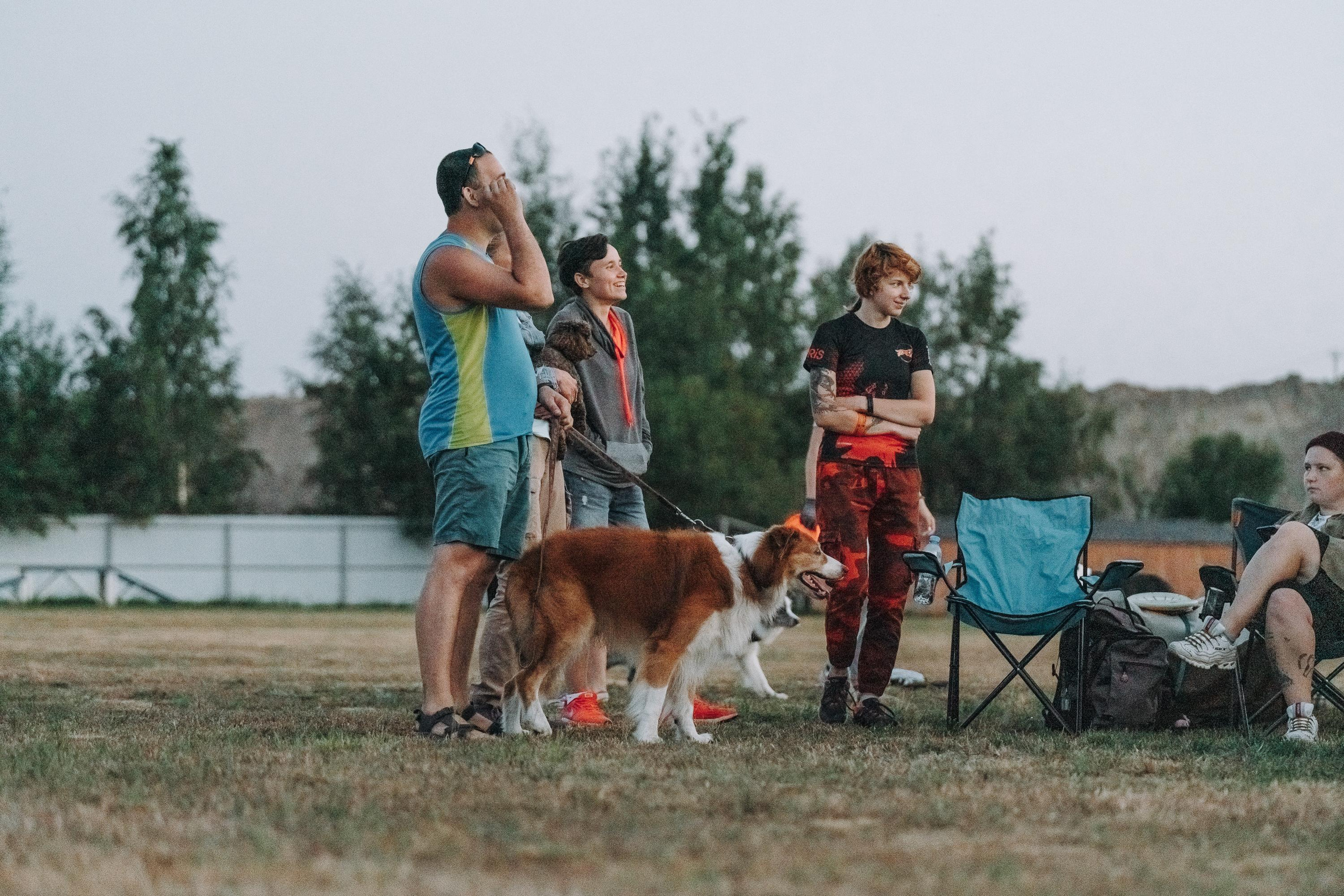 Фрисби игры UpDog. Фотограф анималист Осипчикова Мария