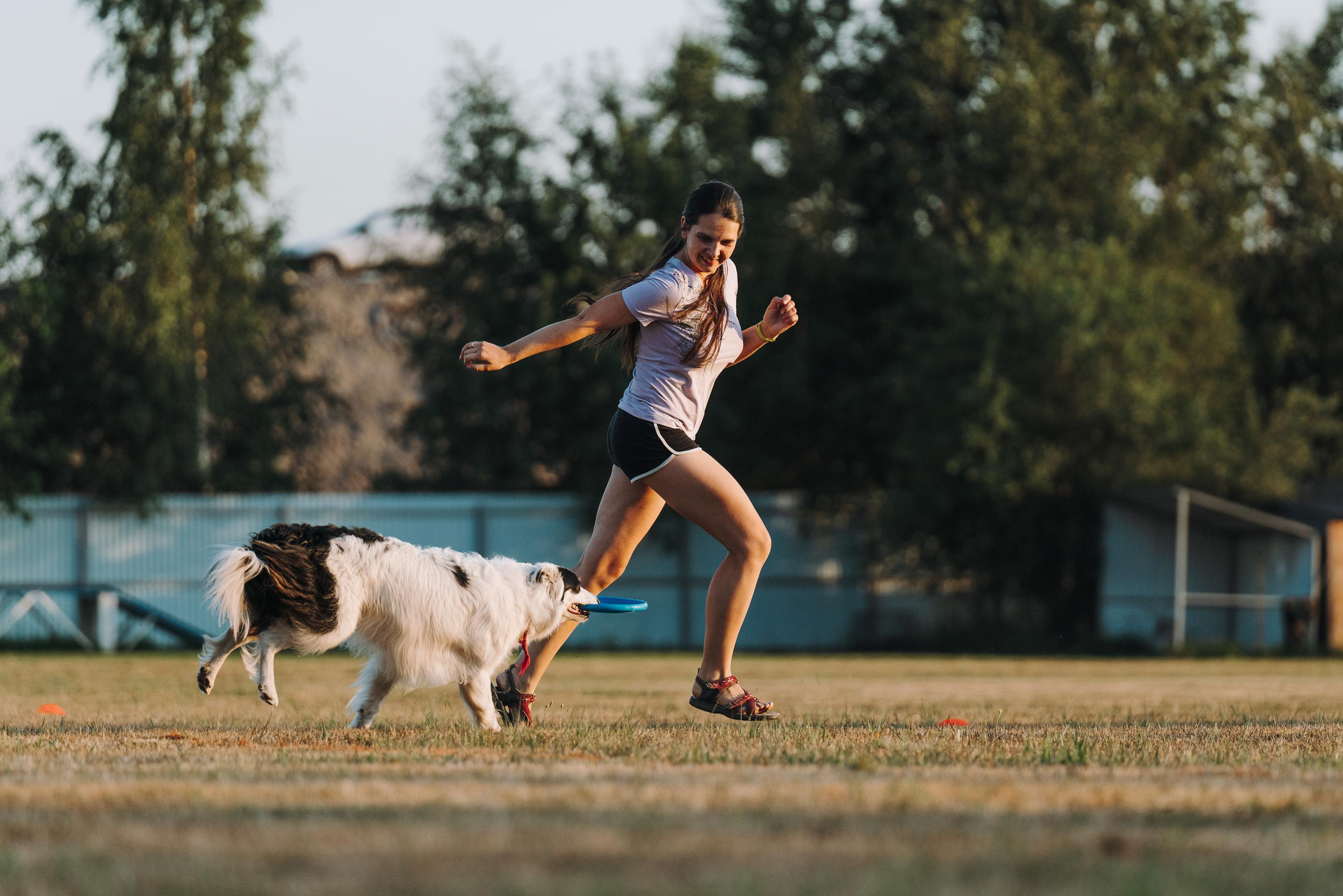 Фрисби игры UpDog. Фотограф анималист Осипчикова Мария