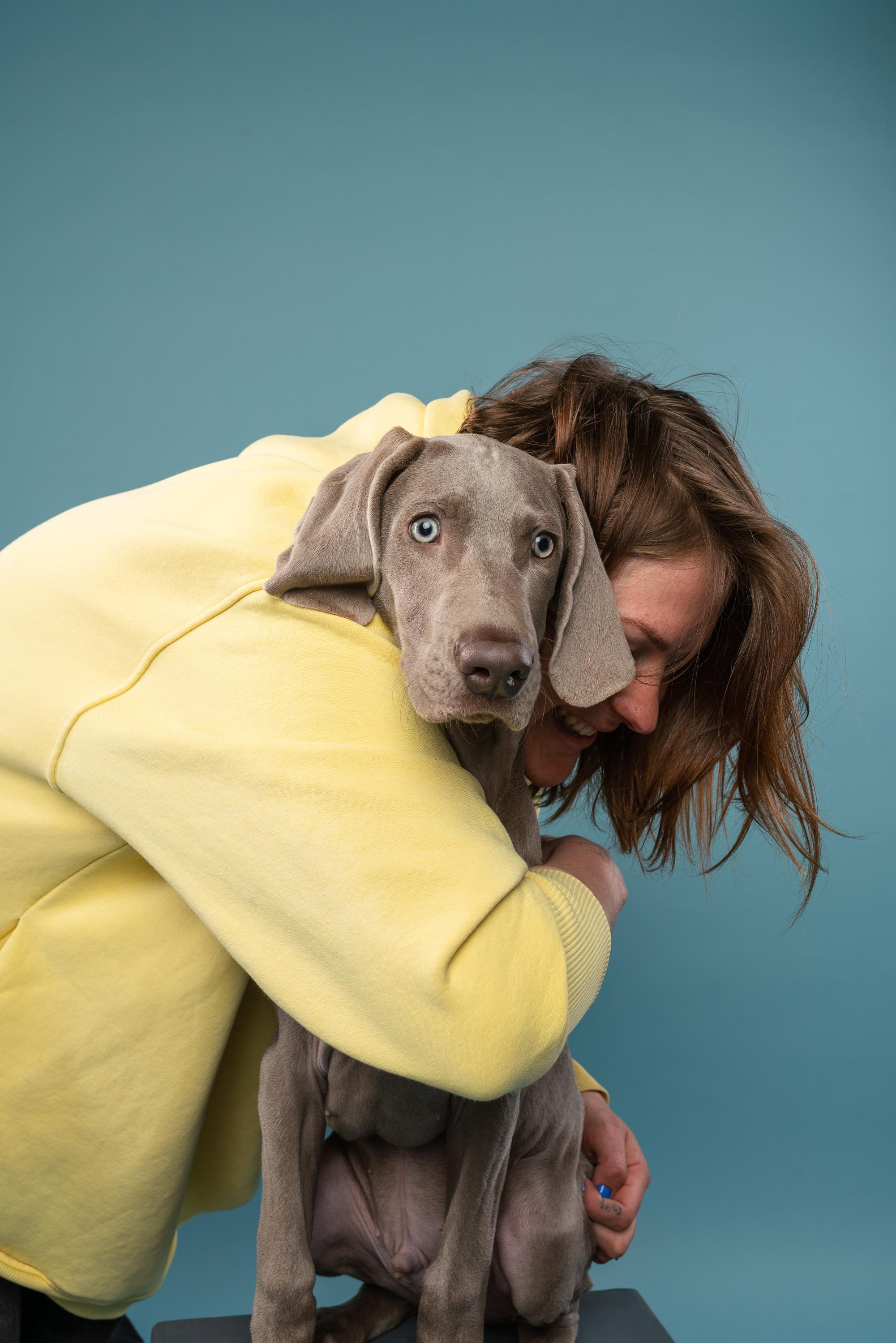 Веймаранер Эспен. Фотограф анималист Осипчикова Мария
