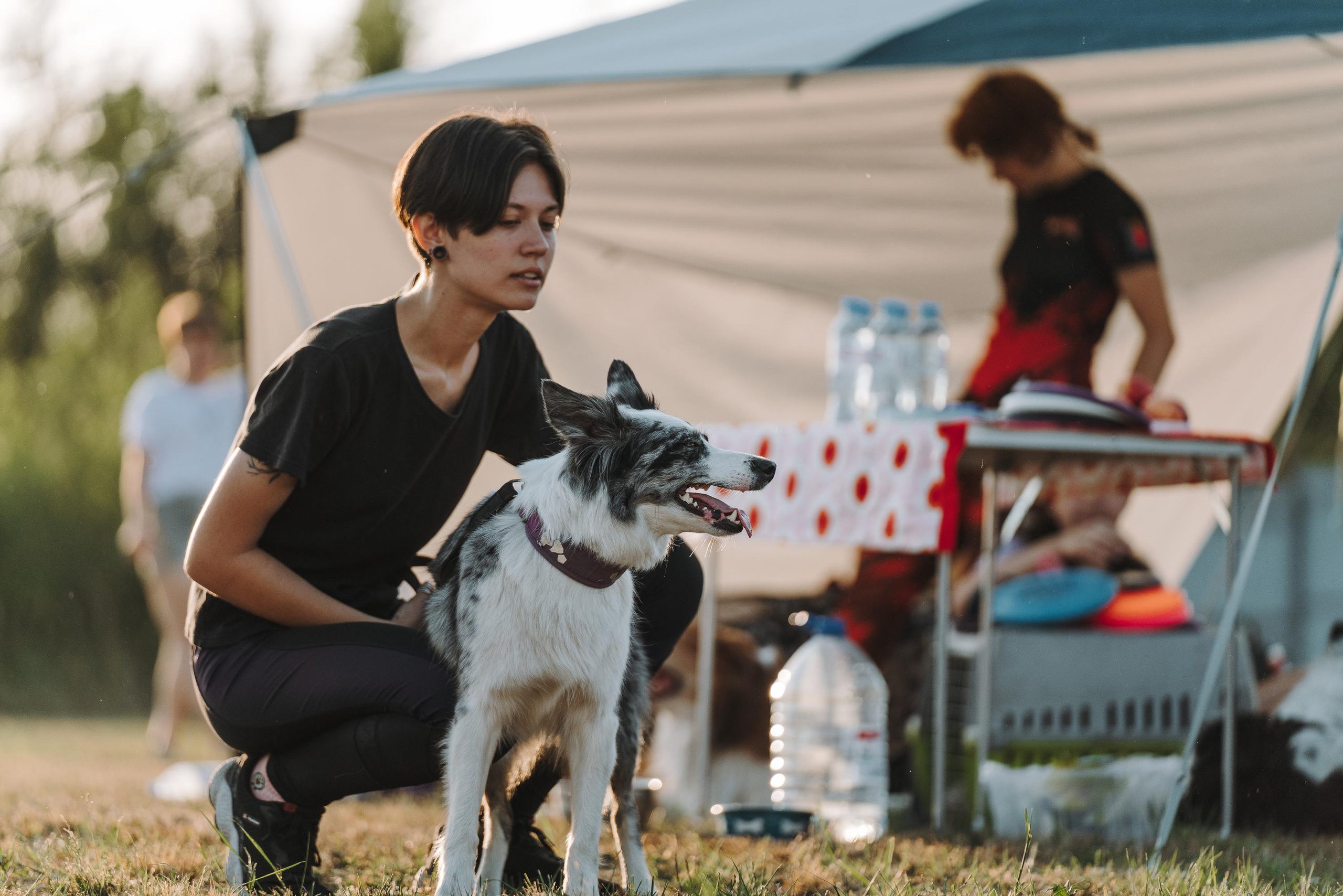 Фрисби игры UpDog. Фотограф анималист Осипчикова Мария