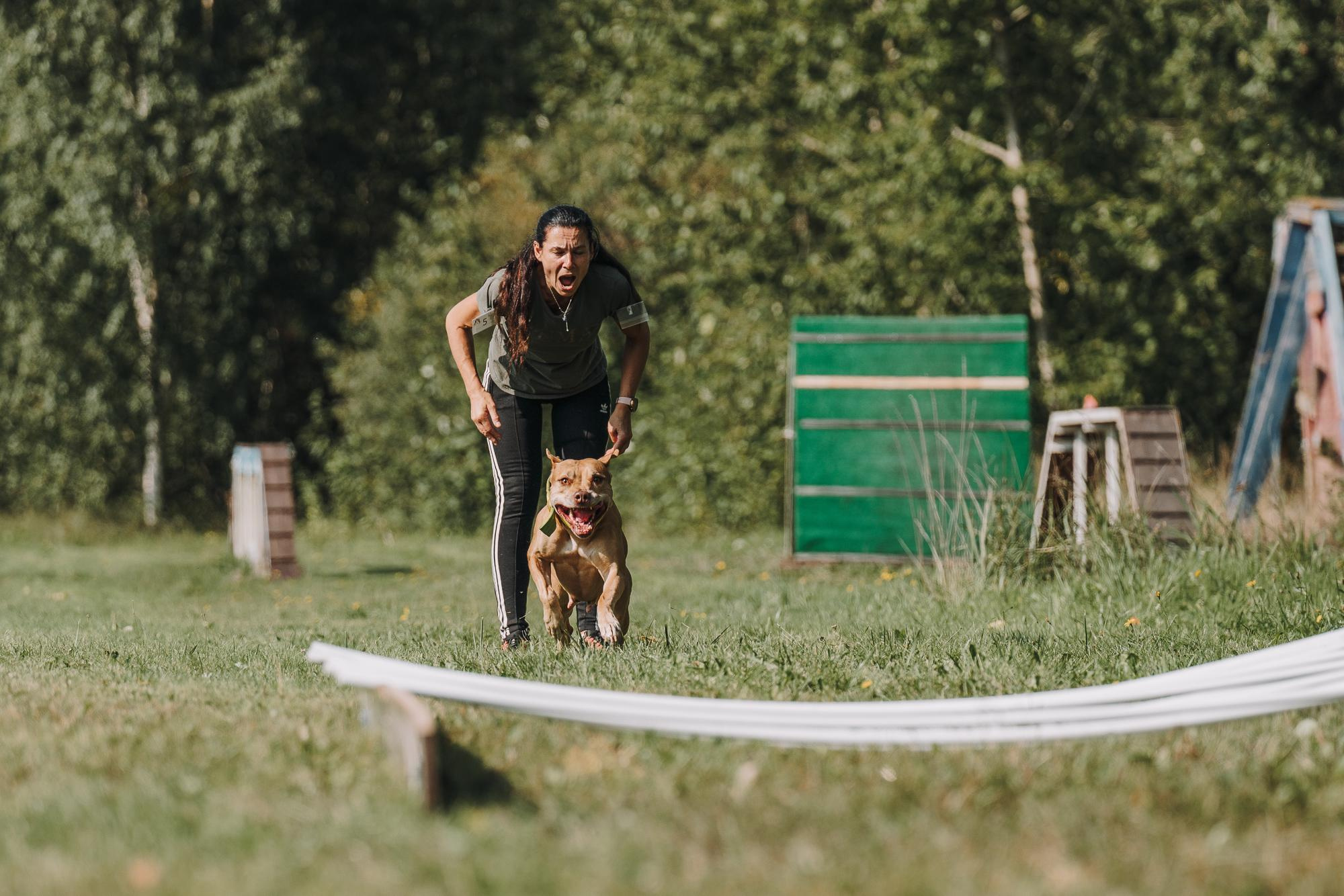 День пита и стаффа. Фотограф анималист Осипчикова Мария