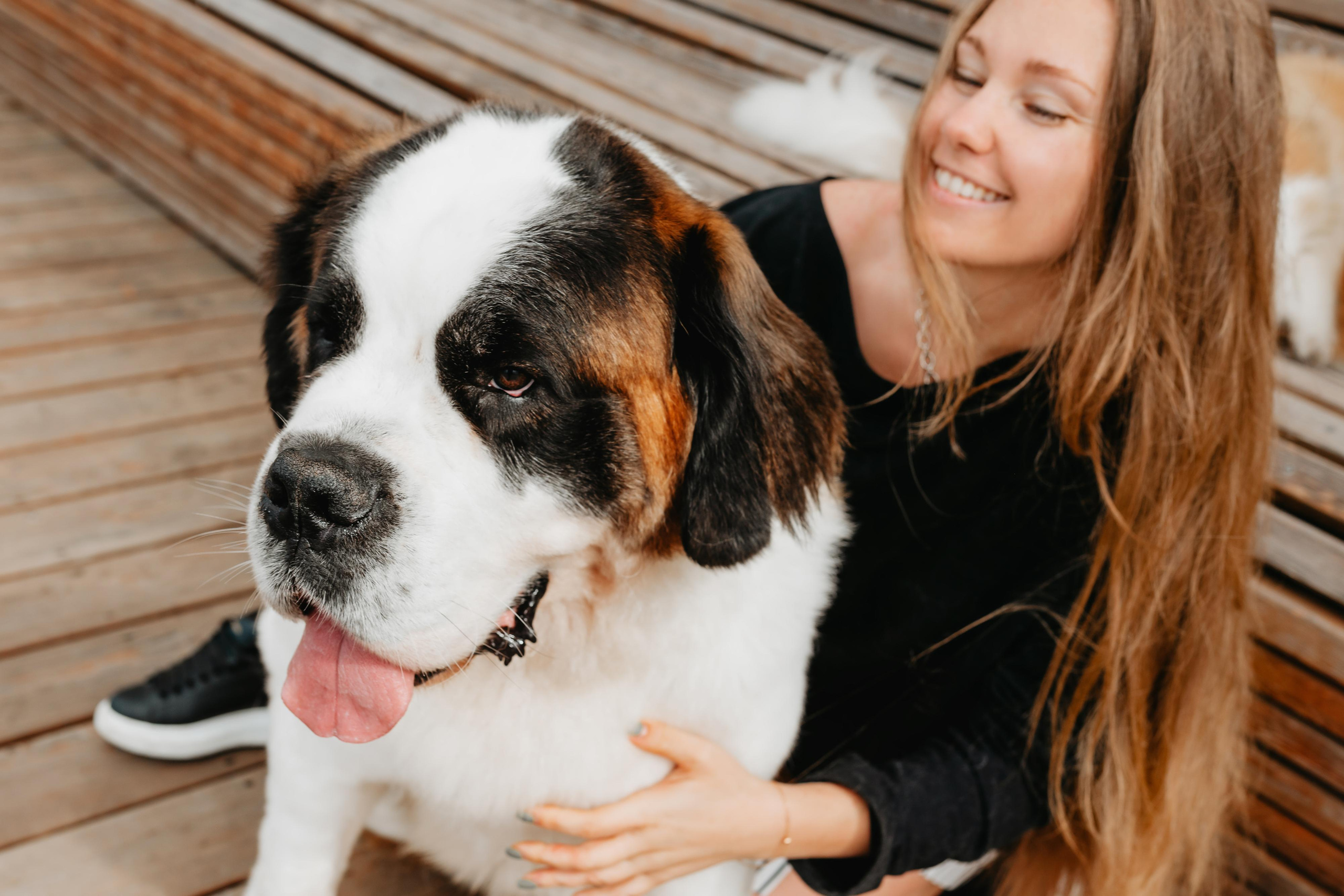 Оля, Молли и Эмми. Фотограф анималист Осипчикова Мария