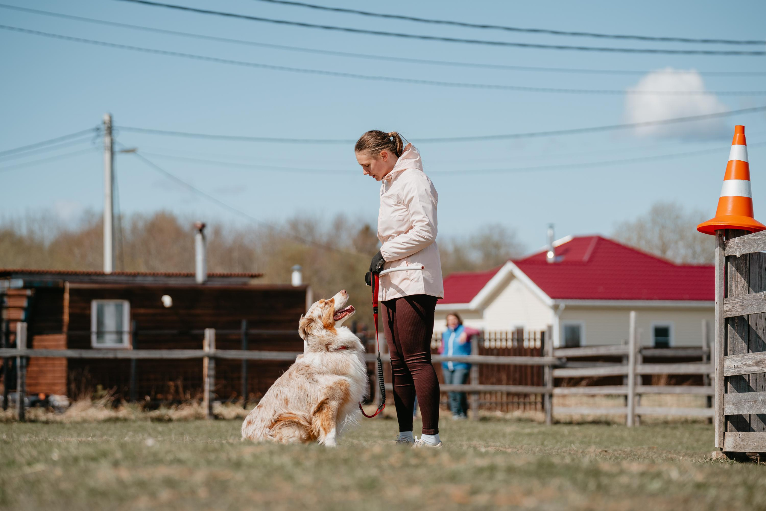 Пастушья служба. Фотограф анималист Осипчикова Мария