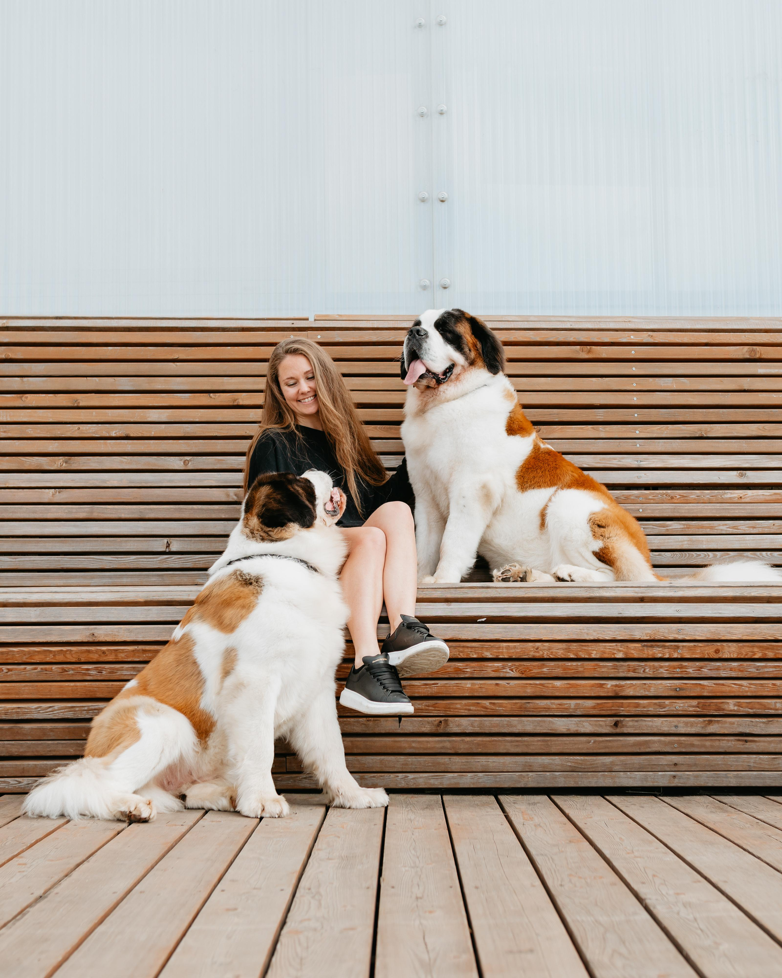 Оля, Молли и Эмми. Фотограф анималист Осипчикова Мария