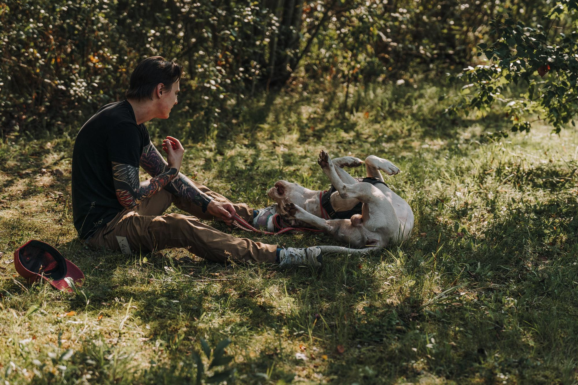 День пита и стаффа. Фотограф анималист Осипчикова Мария