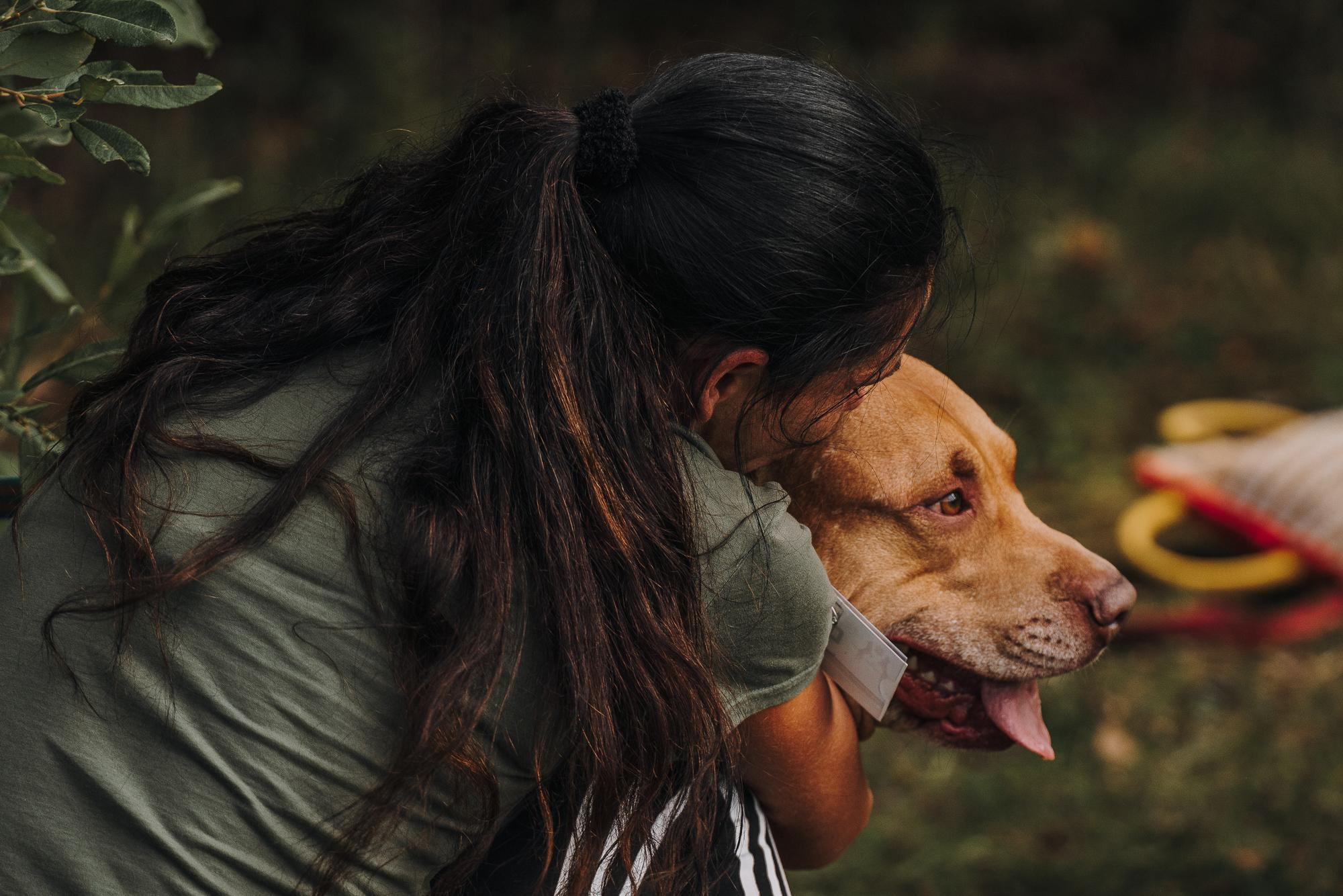 День пита и стаффа. Фотограф анималист Осипчикова Мария