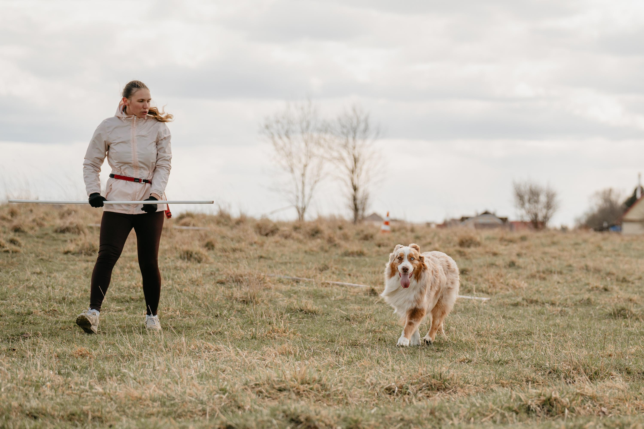 Пастушья служба. Фотограф анималист Осипчикова Мария