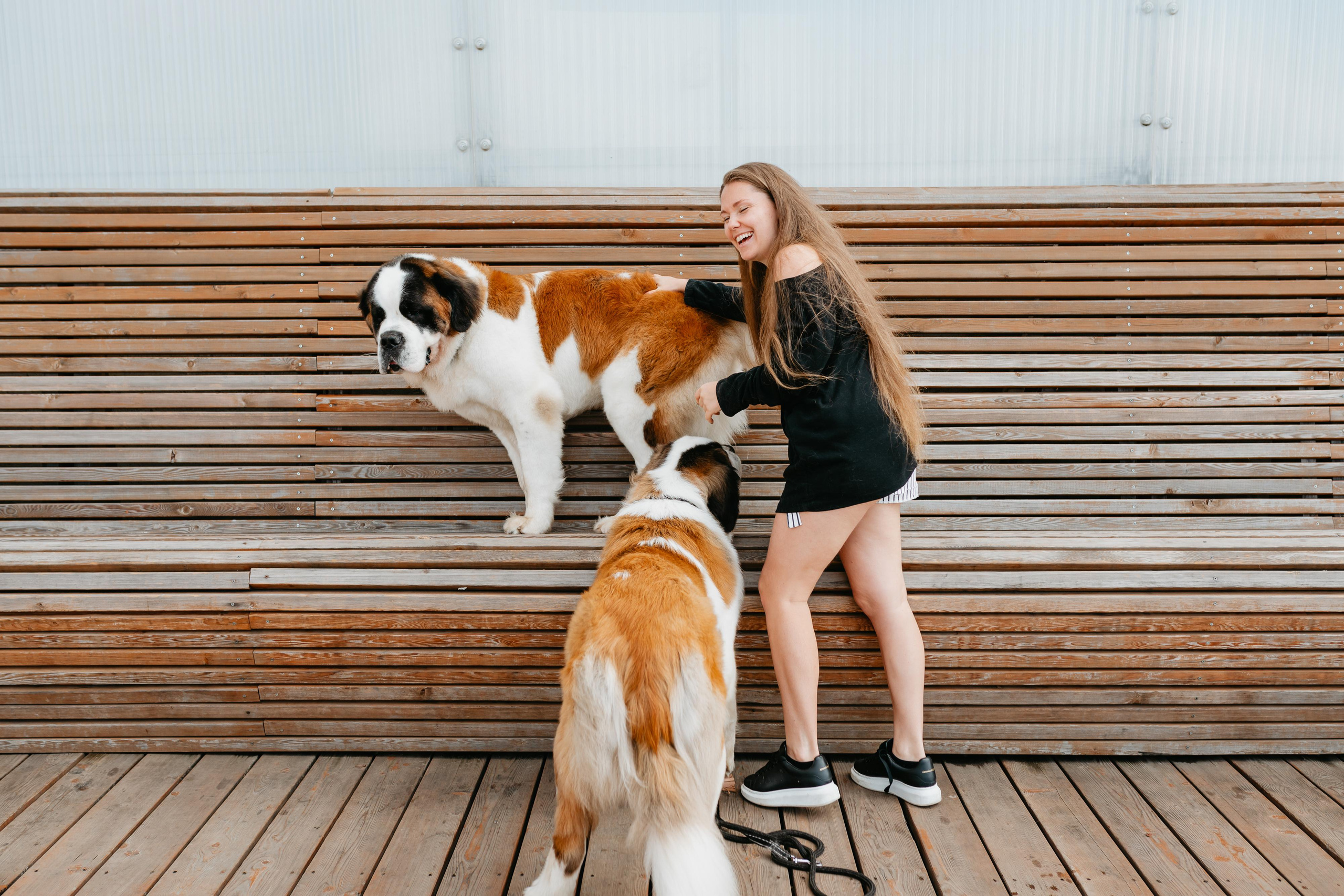 Оля, Молли и Эмми. Фотограф анималист Осипчикова Мария