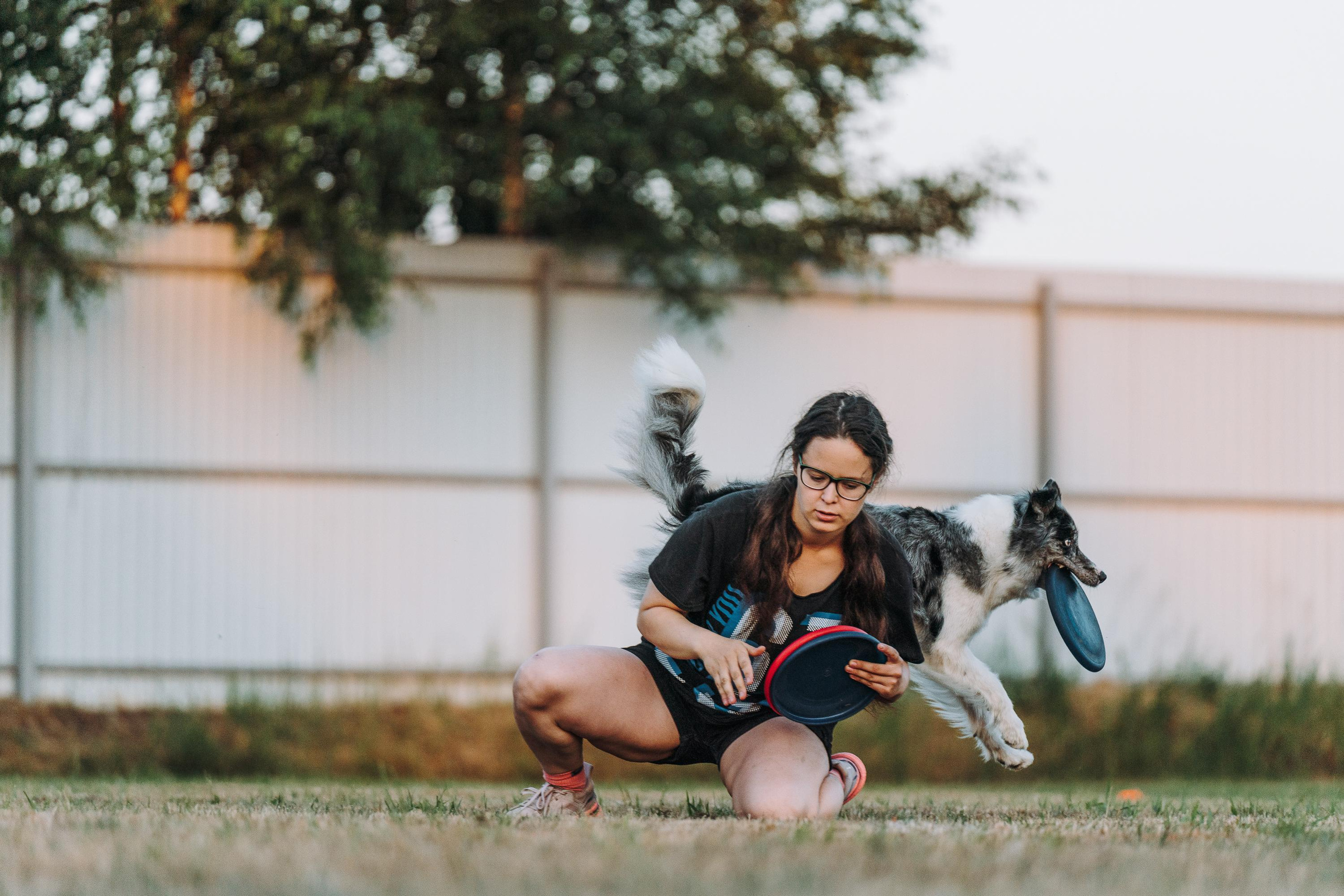 Фрисби игры UpDog. Фотограф анималист Осипчикова Мария