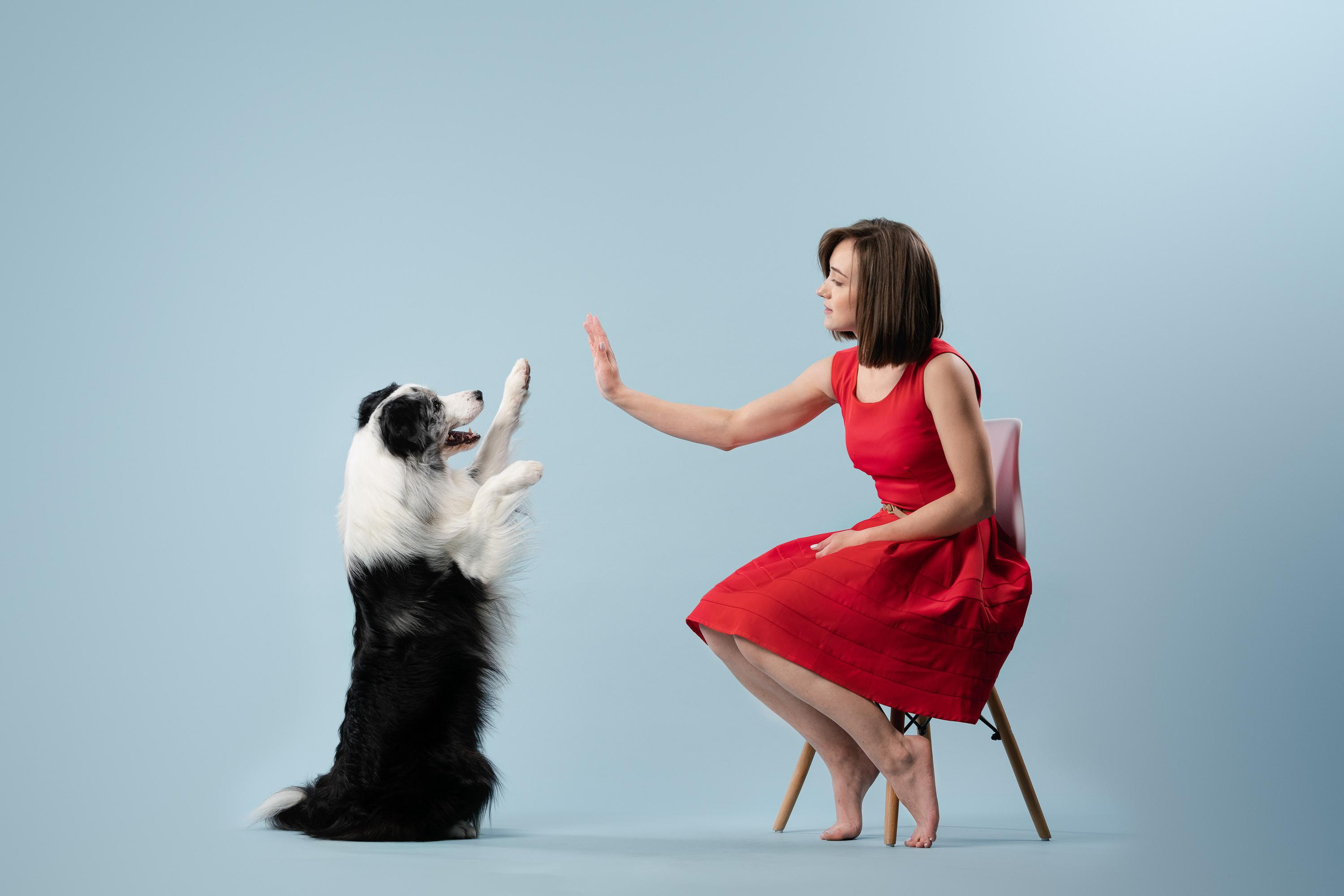 Аня и Гуччи. Фотограф анималист Осипчикова Мария