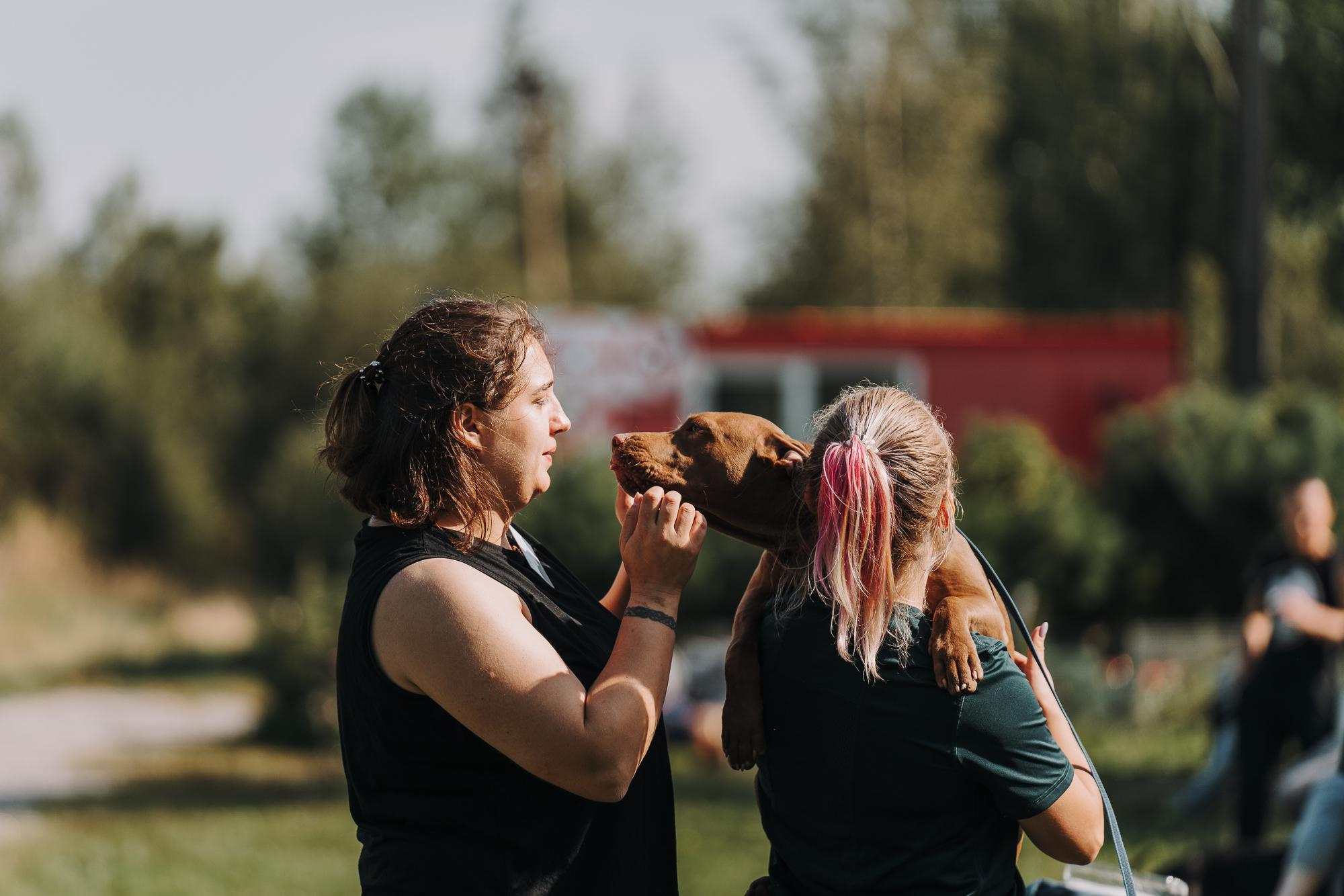 День пита и стаффа. Фотограф анималист Осипчикова Мария