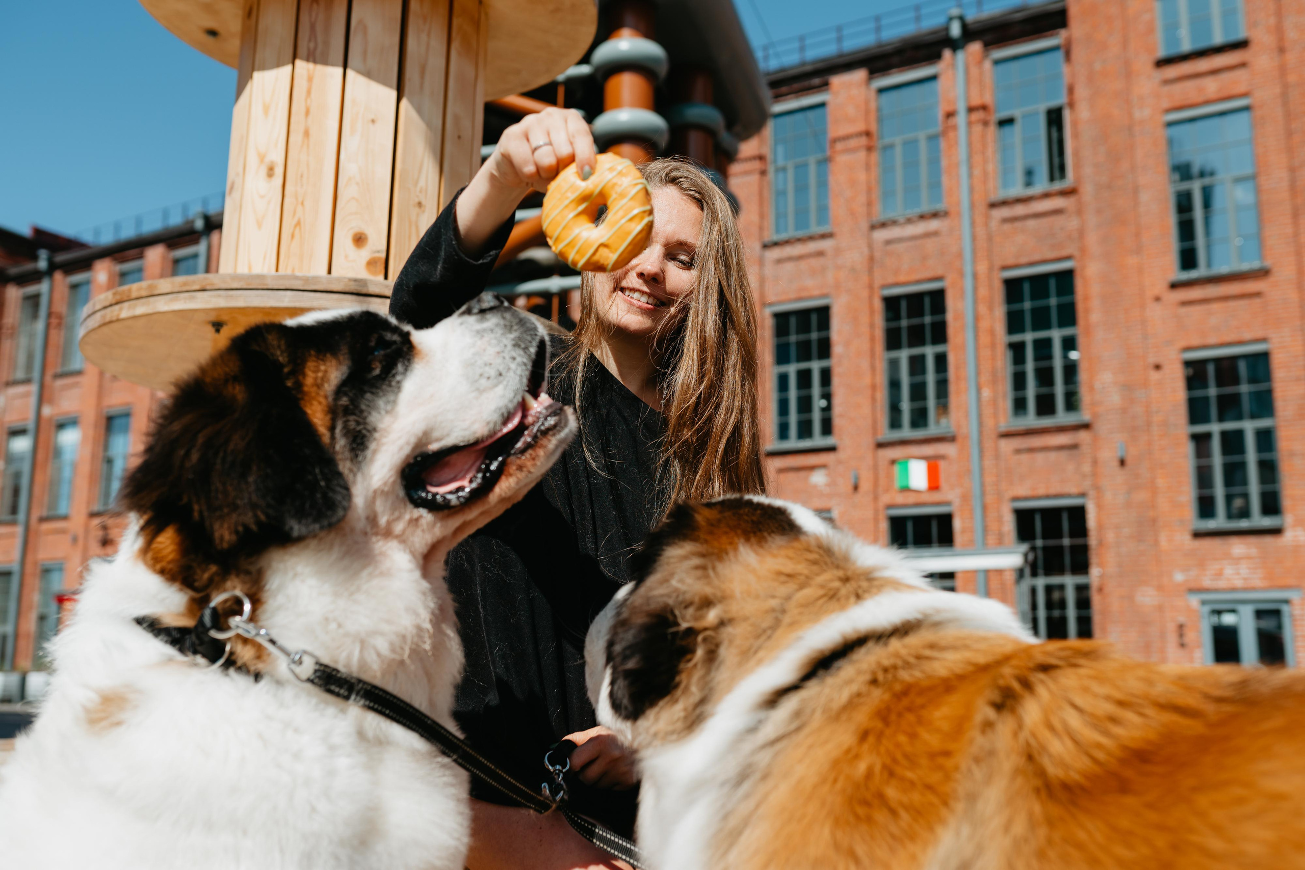 Оля, Молли и Эмми. Фотограф анималист Осипчикова Мария