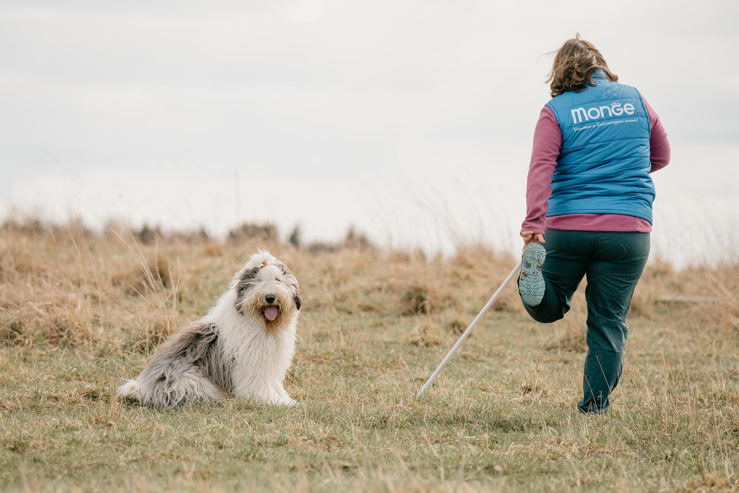 Пастушья служба. Фотограф анималист Осипчикова Мария