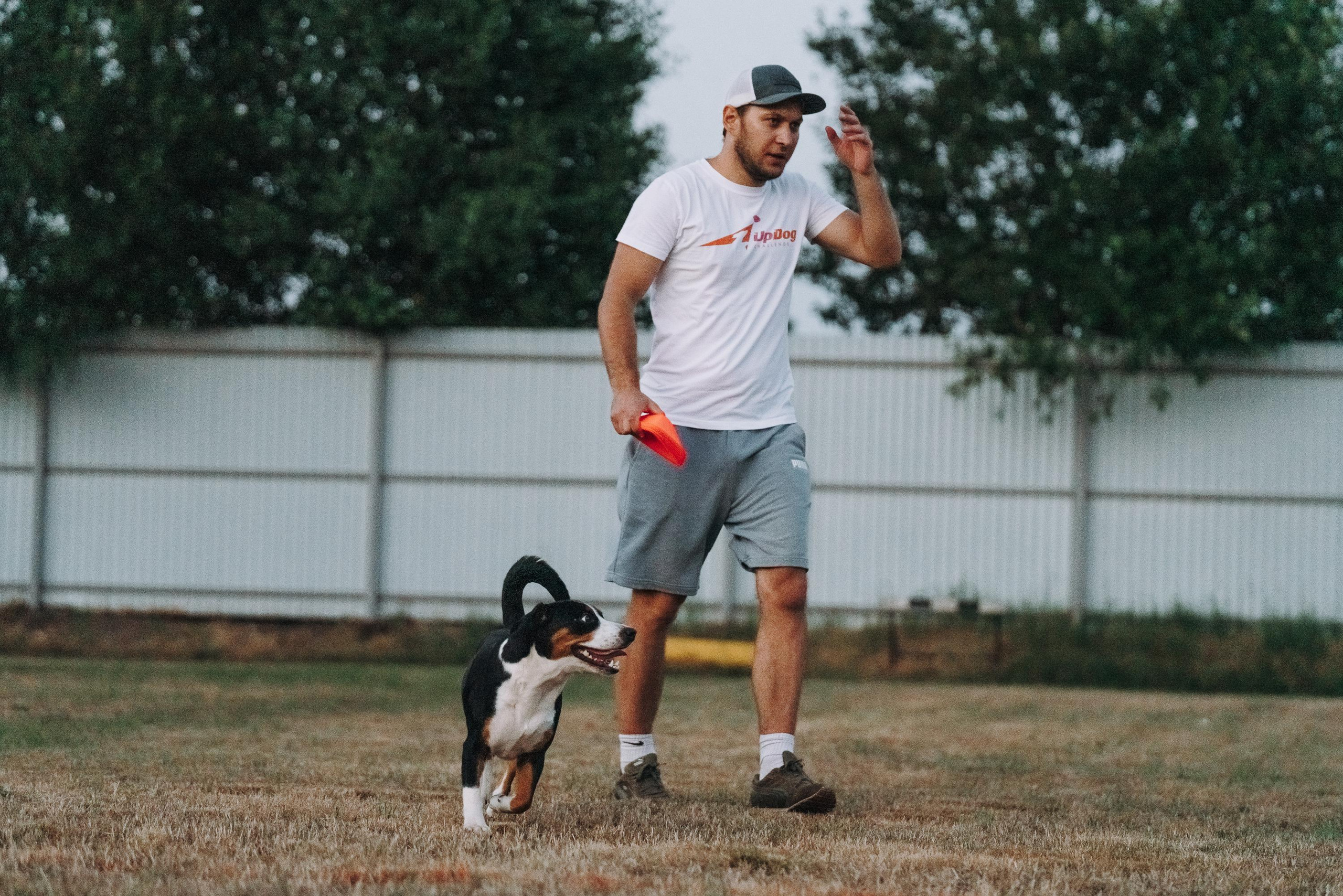 Фрисби игры UpDog. Фотограф анималист Осипчикова Мария