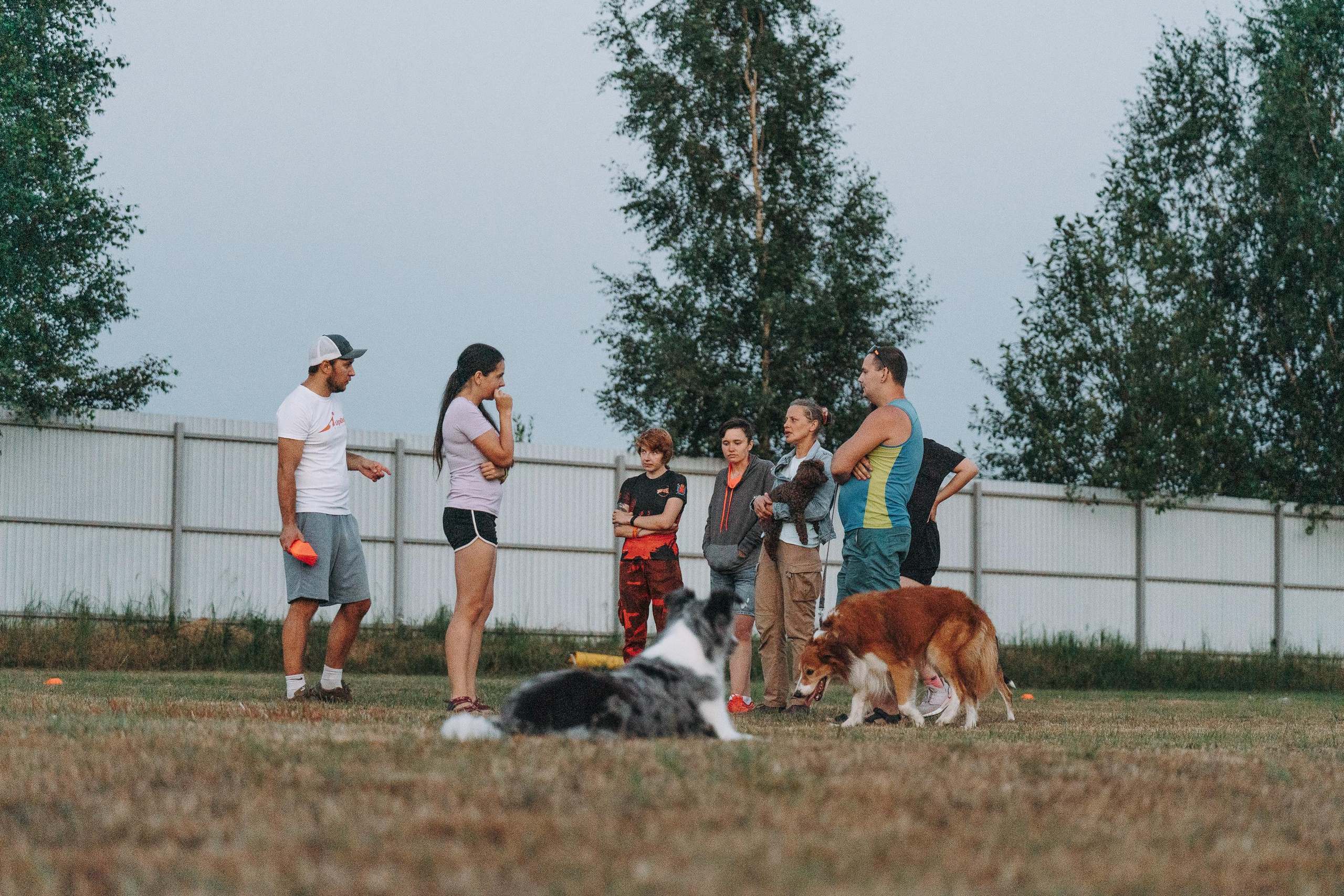 Фрисби игры UpDog. Фотограф анималист Осипчикова Мария