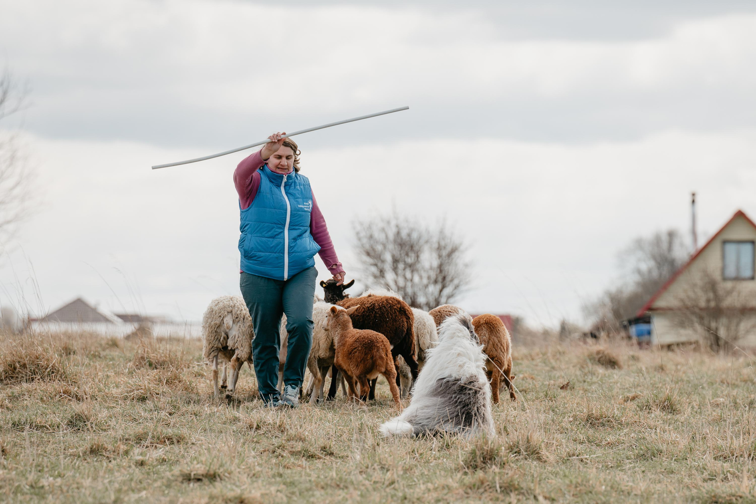 Пастушья служба. Фотограф анималист Осипчикова Мария