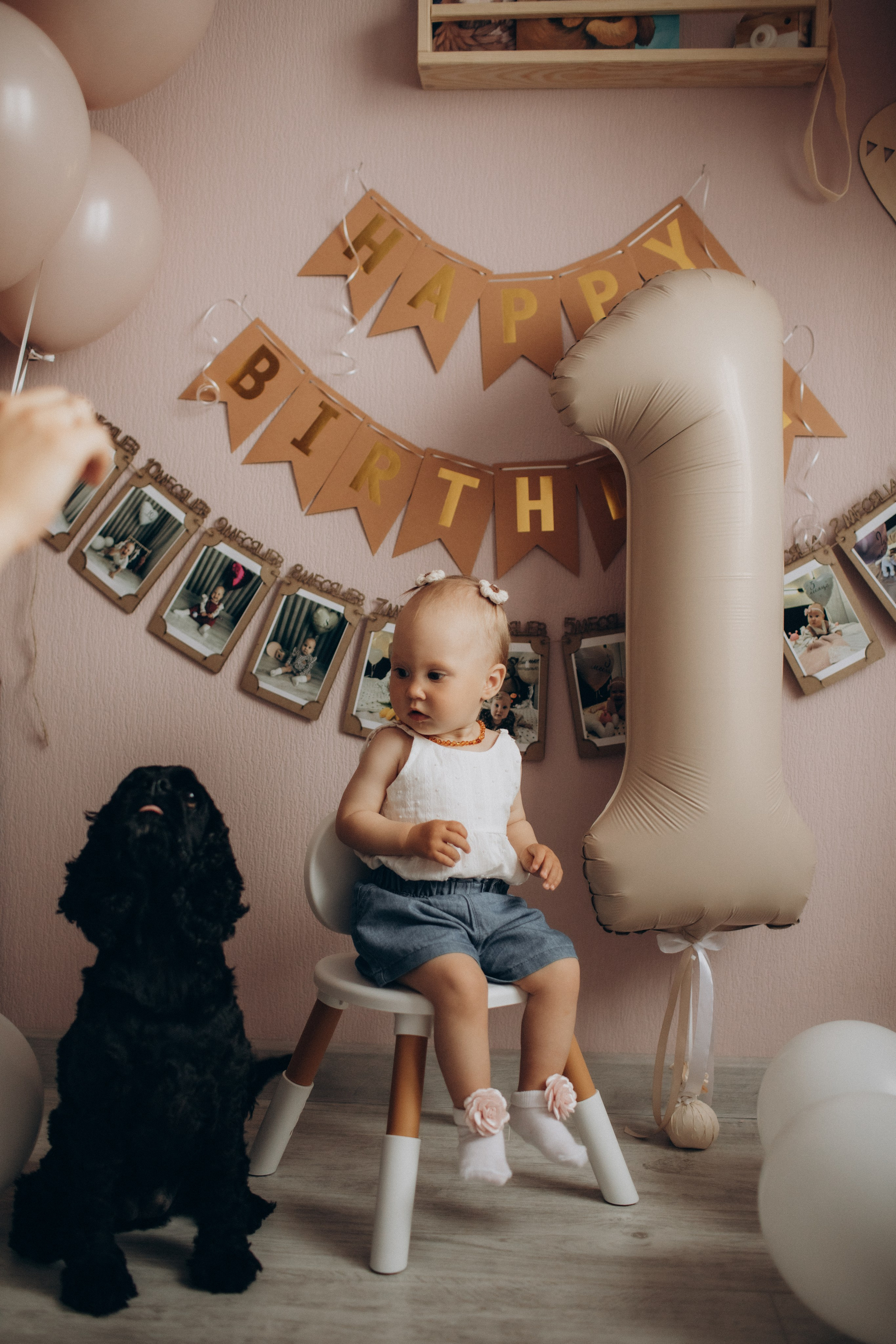 Ане годик!. Семейный фотограф в Челябинске Ксения Зубкова