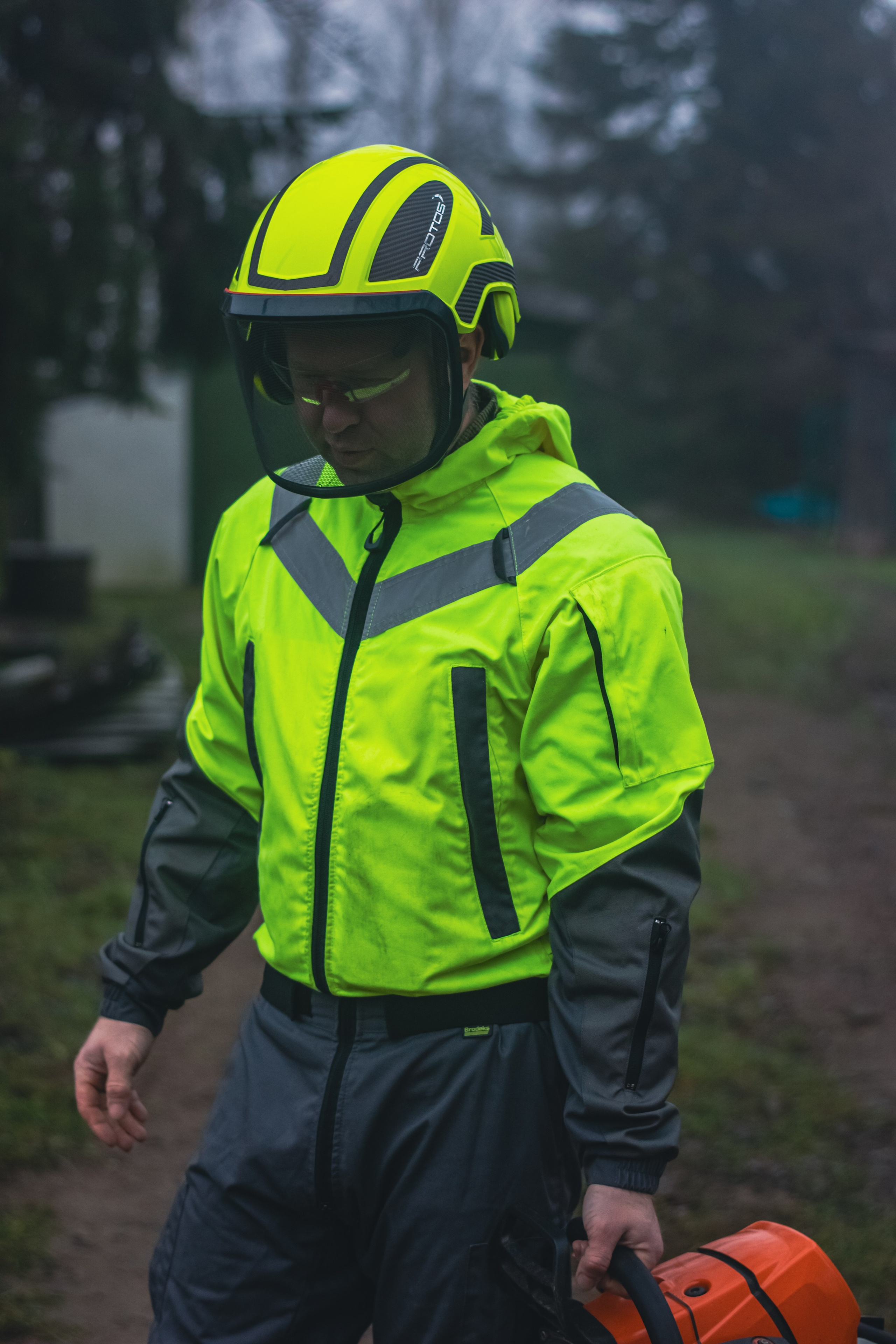 Спил деревьев. Аrbori Culturist