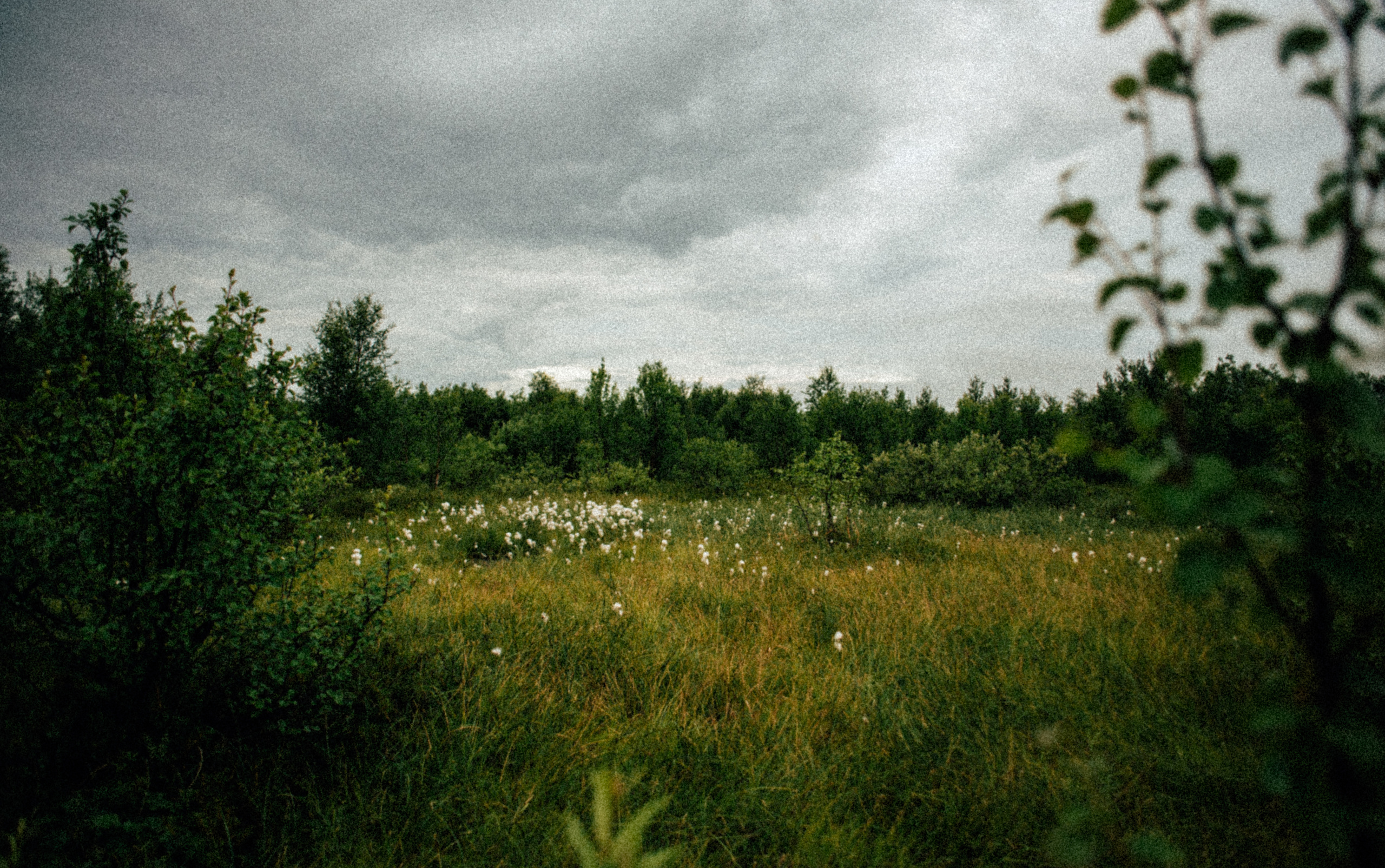 Bless my soul. Photographer Vasilisa Gordeeva