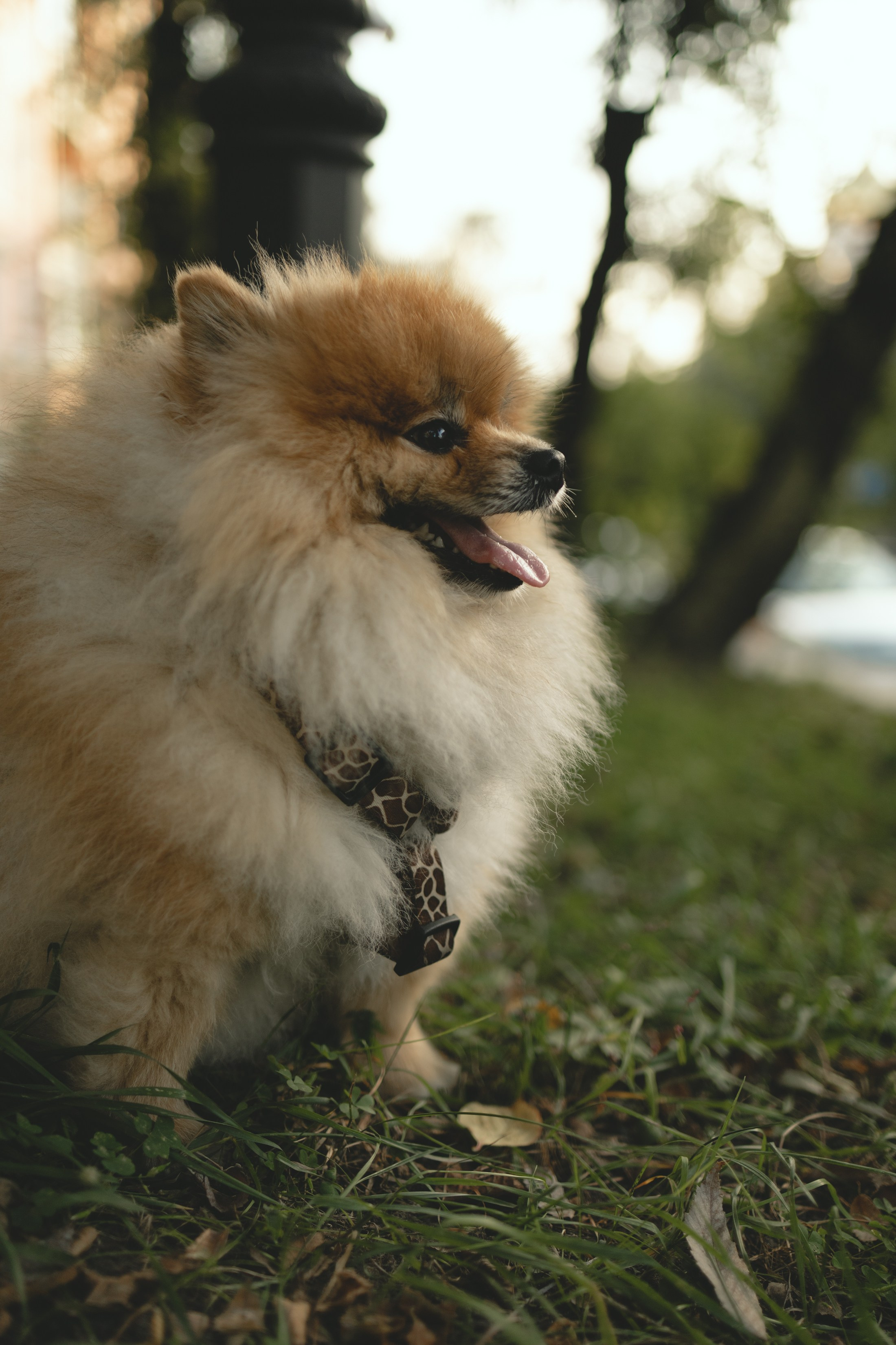 Профессиональный фотограф во Владивостоке — Фаина Дегтярева