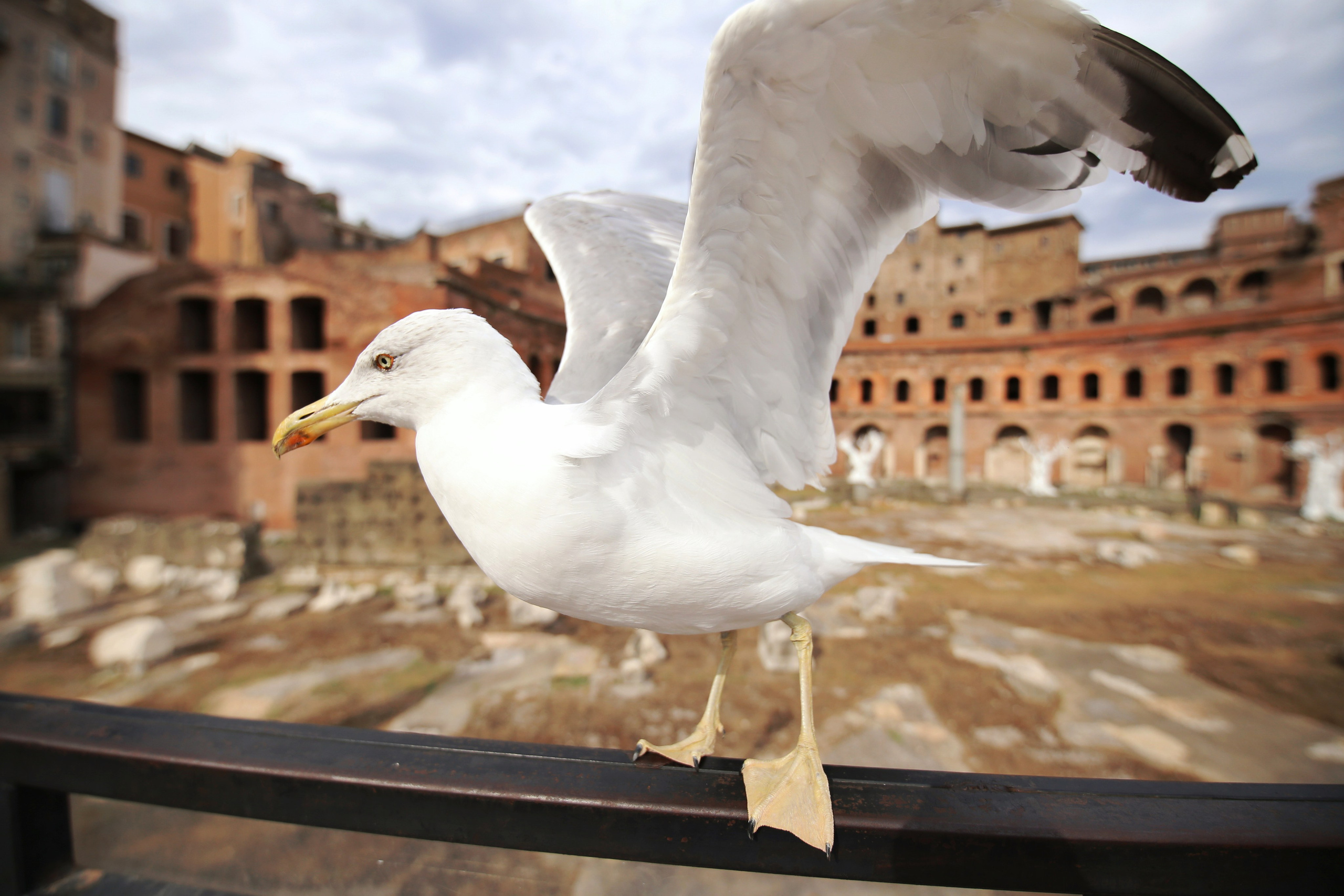 Моменты из жизни. Фотограф Василий Герасимов, Москва. Свадебная, репортажная фотосъемка