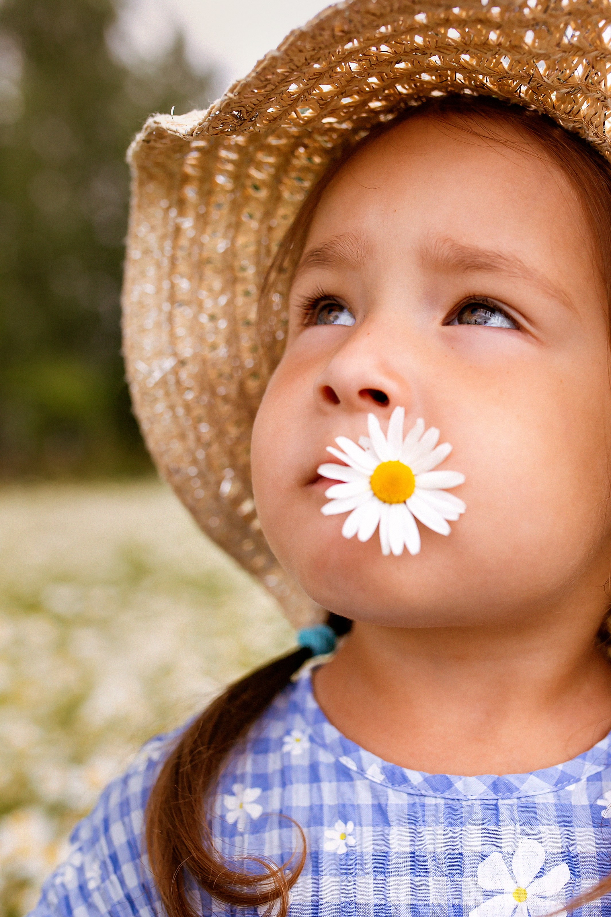 Ромашки…. Семейный и детский фотограф в Ижевске Анастасия Камариттинова