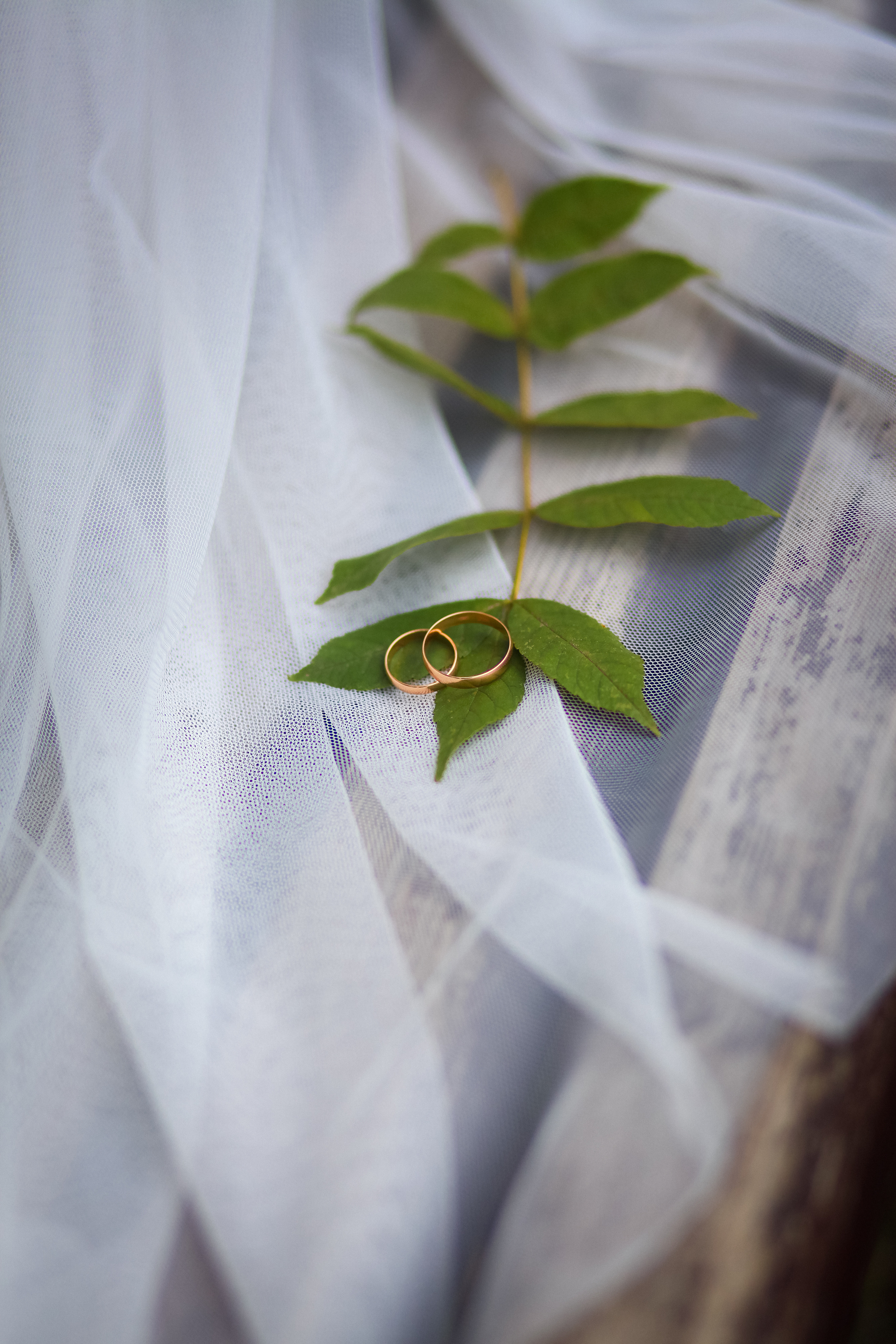 Свадьбы. Фотограф Усольцева Маргарита