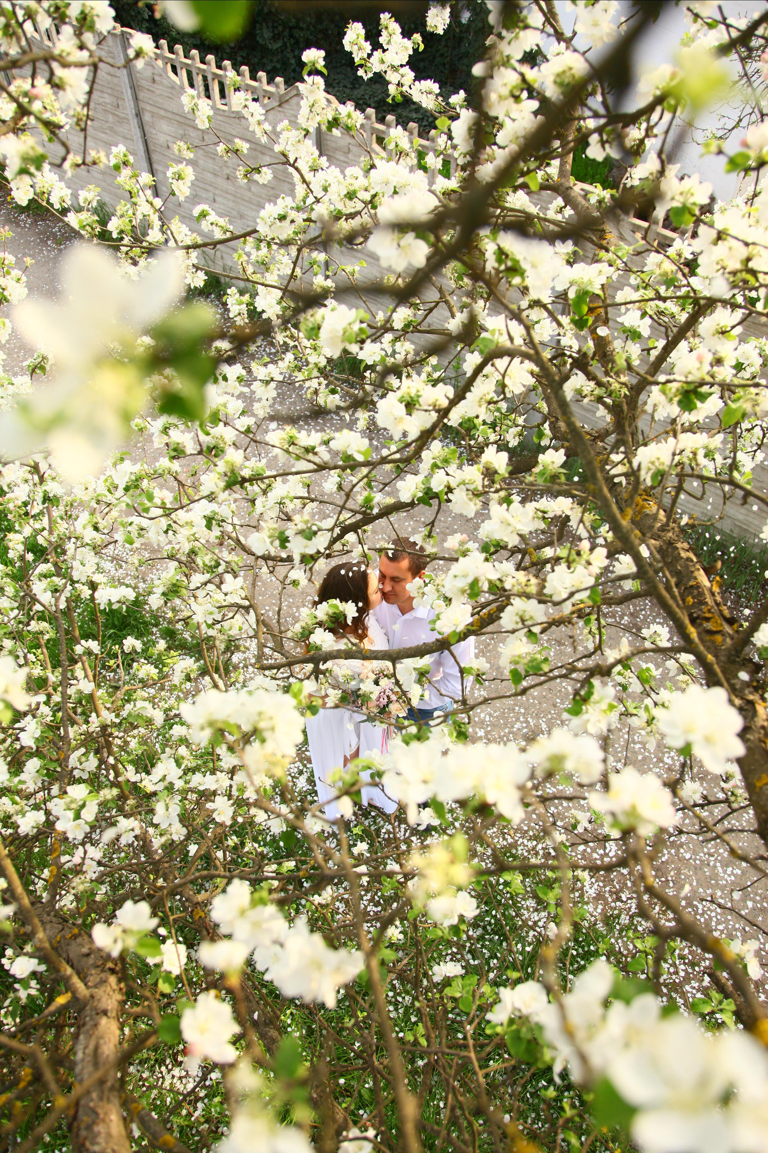 Свадьбы. Фотограф Усольцева Маргарита