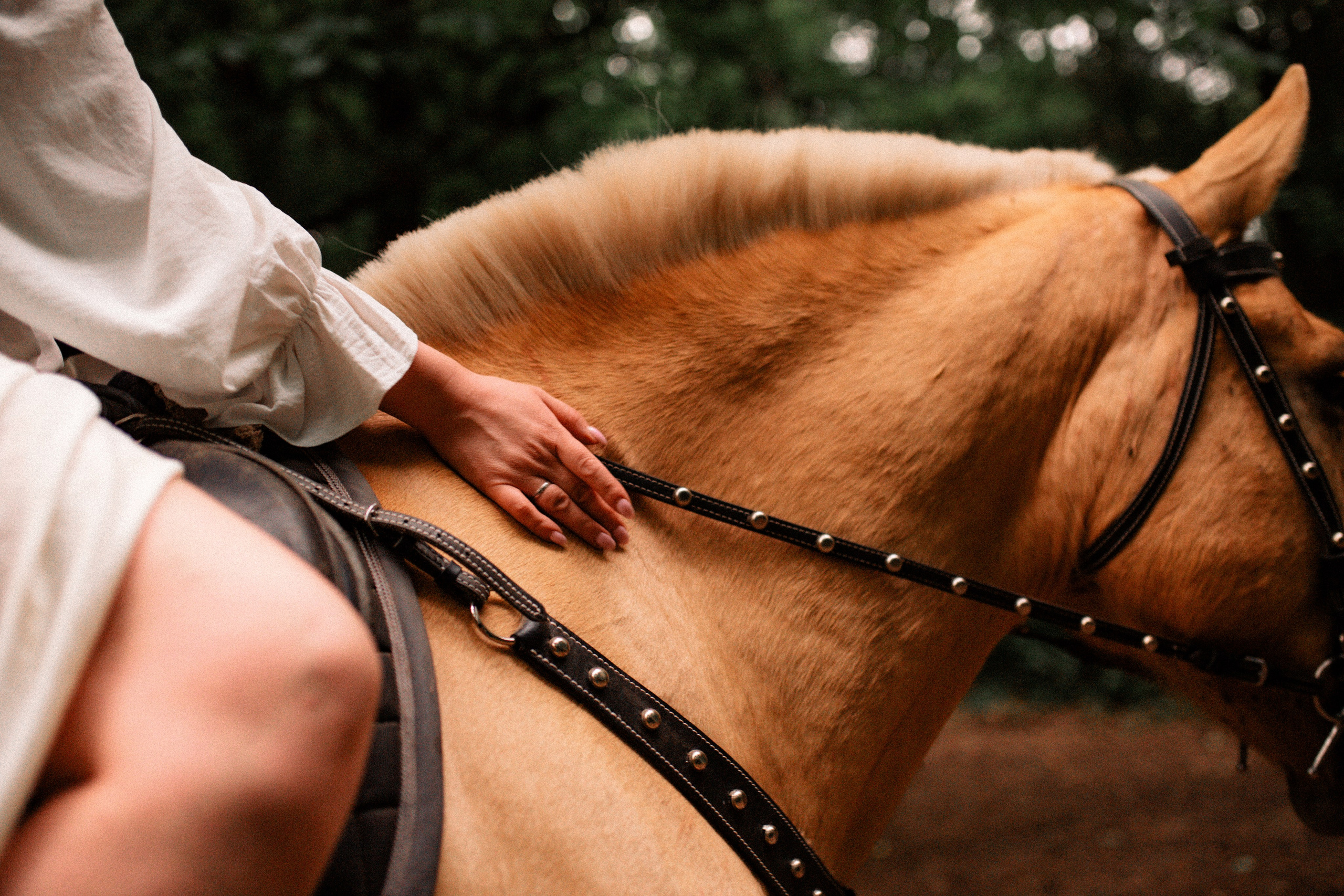 Анюта и Эверест