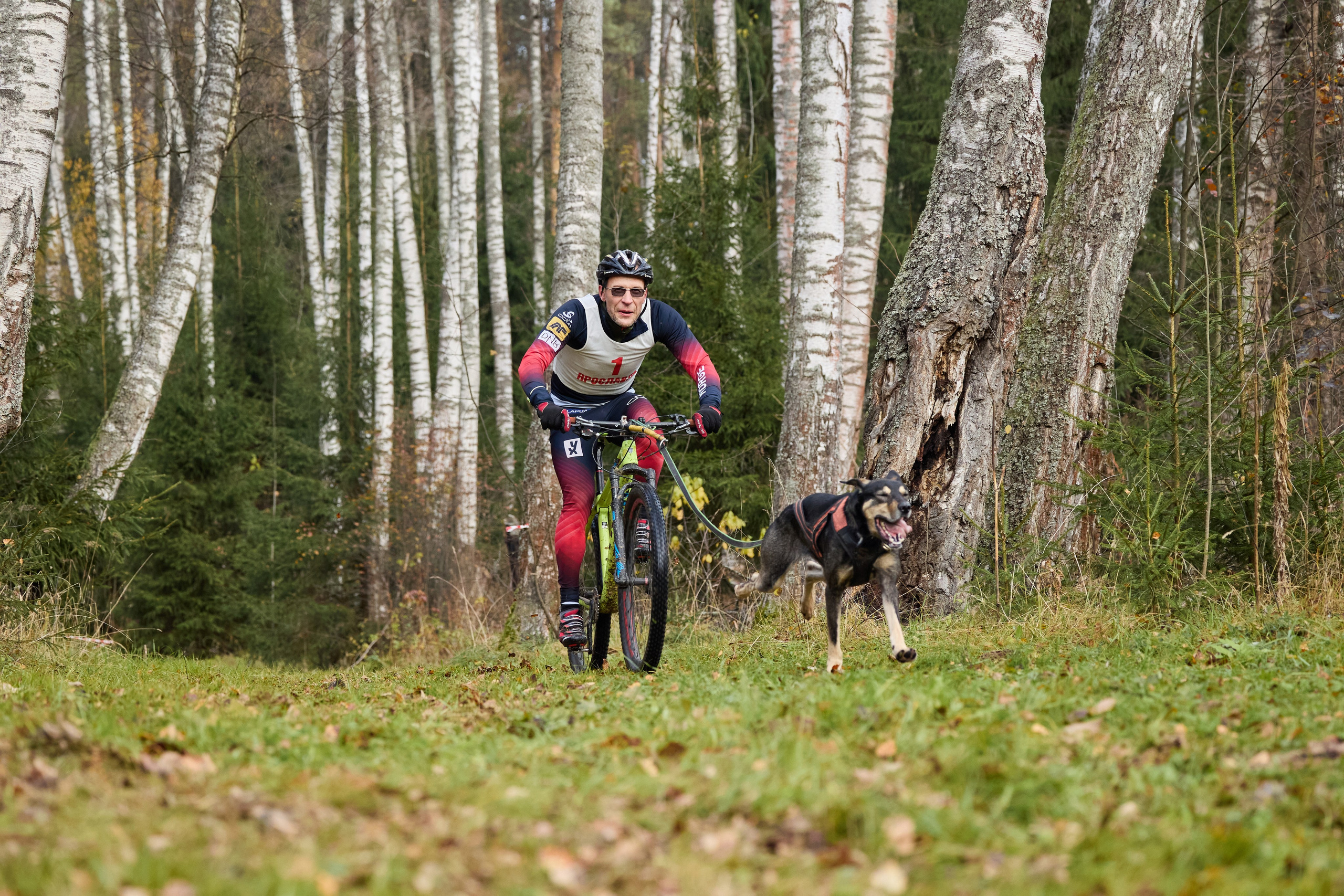 Чемпионат по ЕС Ярославской области. Фотограф Ирина Астор