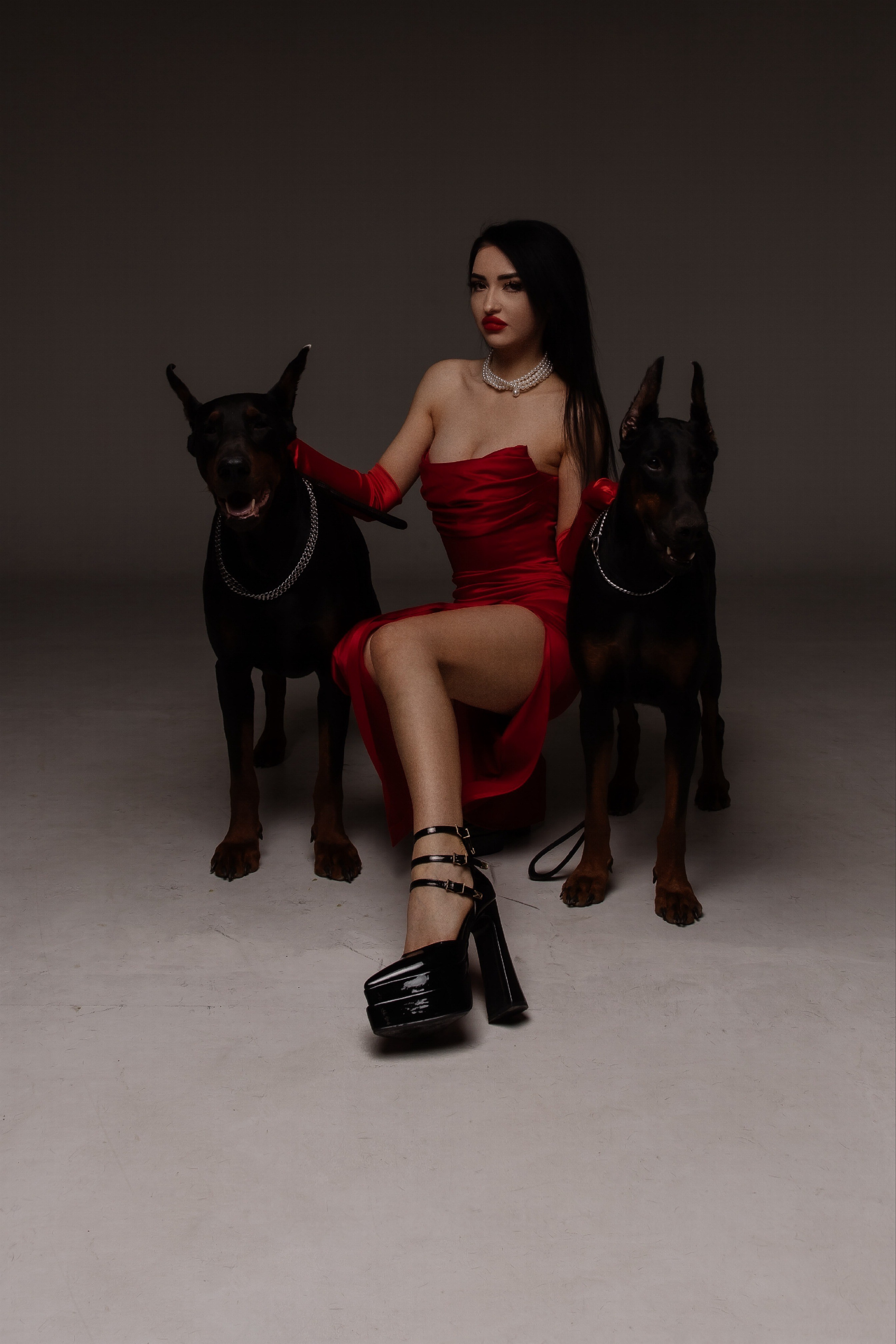 Съемка с доберманами. СВАДЕБНЫЙ ФОТОГРАФ ЧЕЛЯБИНСК