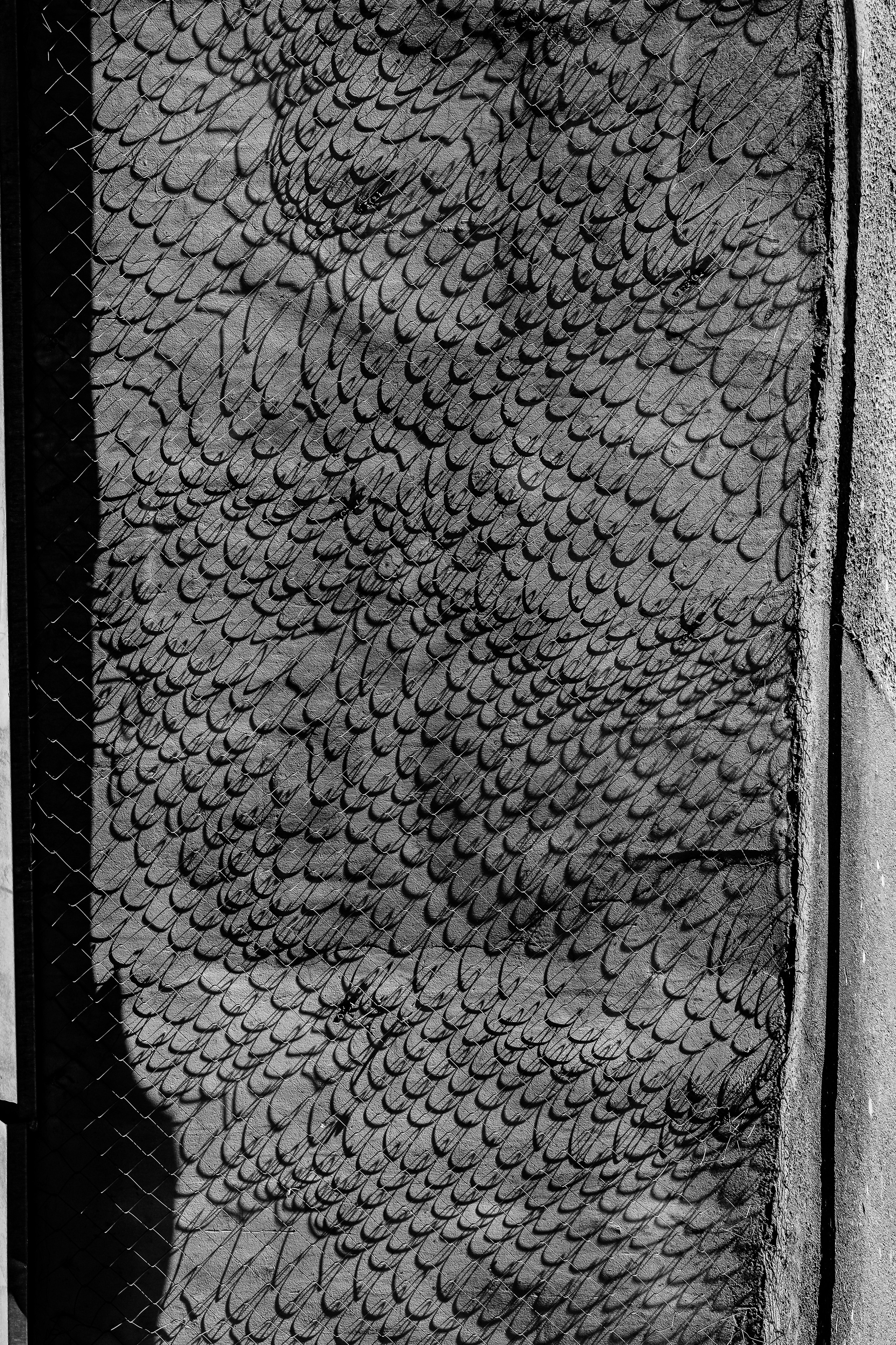 II. Стас Привалов