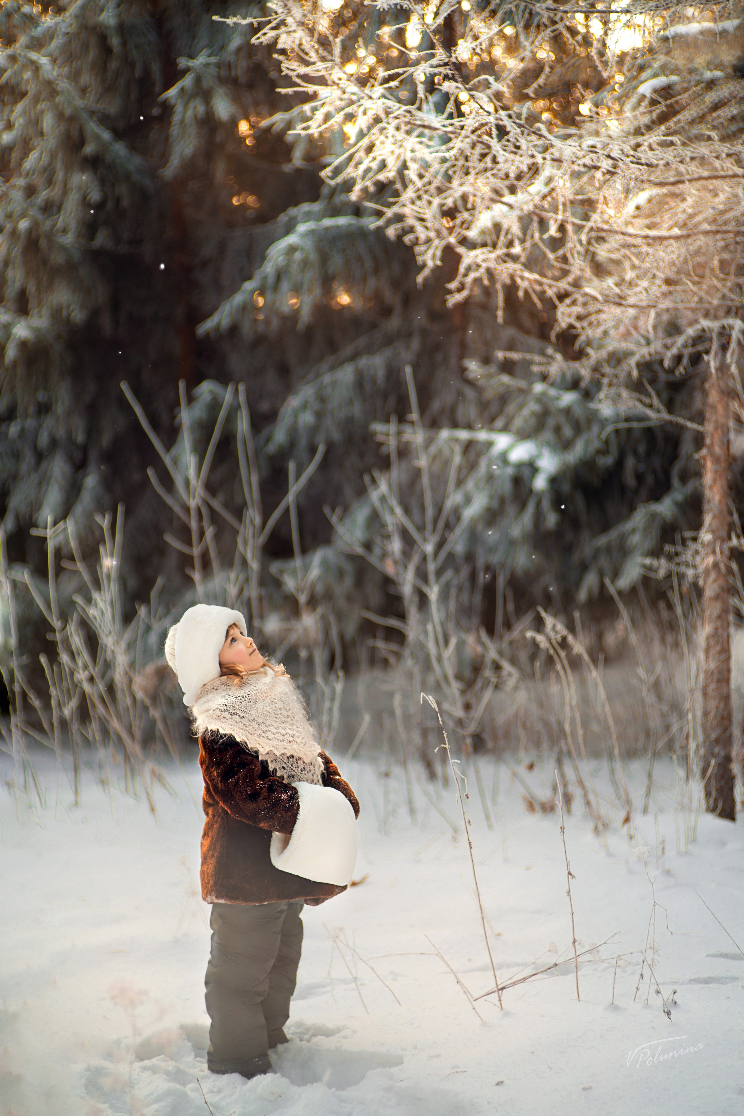 Зима. Фотограф Валентина Полунина