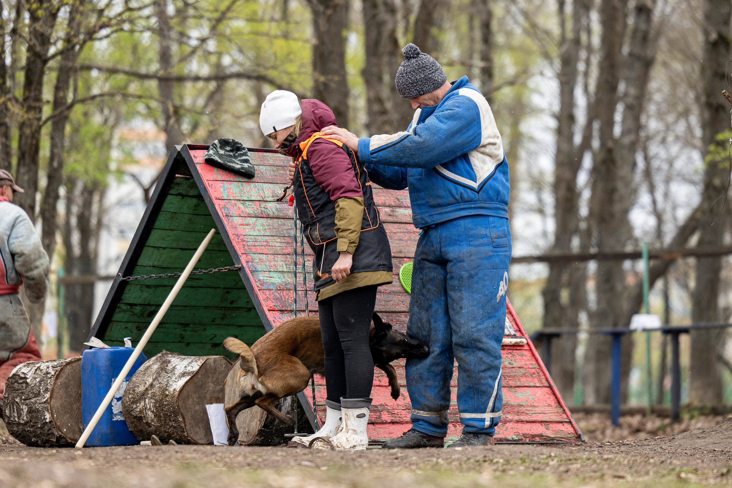 Квалификационные состязания по мондьорингу г. Вологда 11.05.24. Фотограф-анималист Анна Маринич
