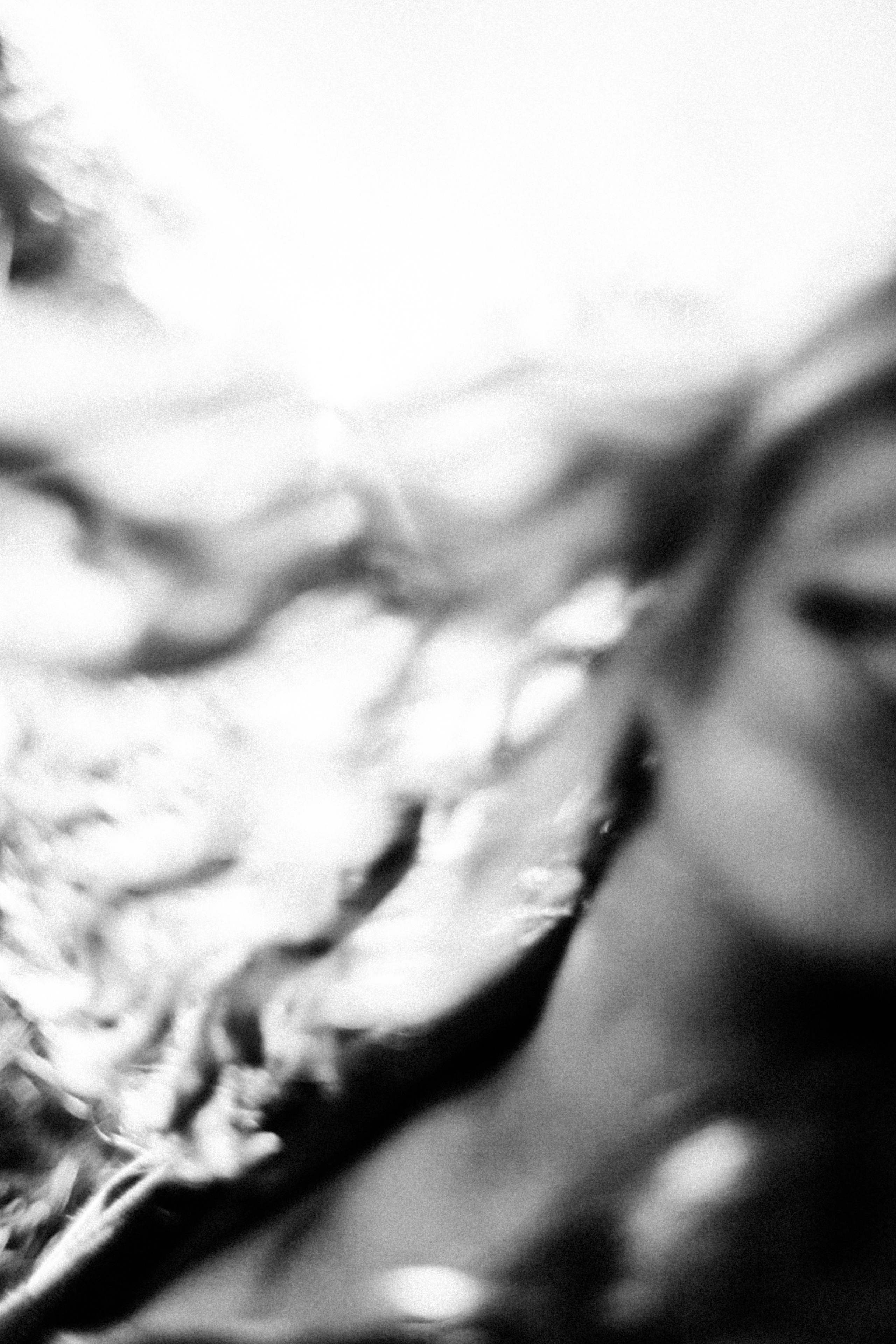 Лена. Рассвет над Окой. Фотограф в Нижнем Новгороде