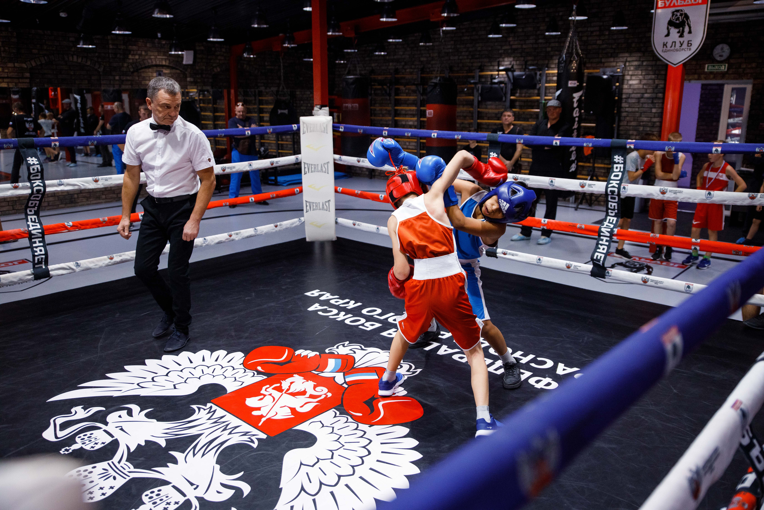 Бокс. Фотограф Андрей Баксов