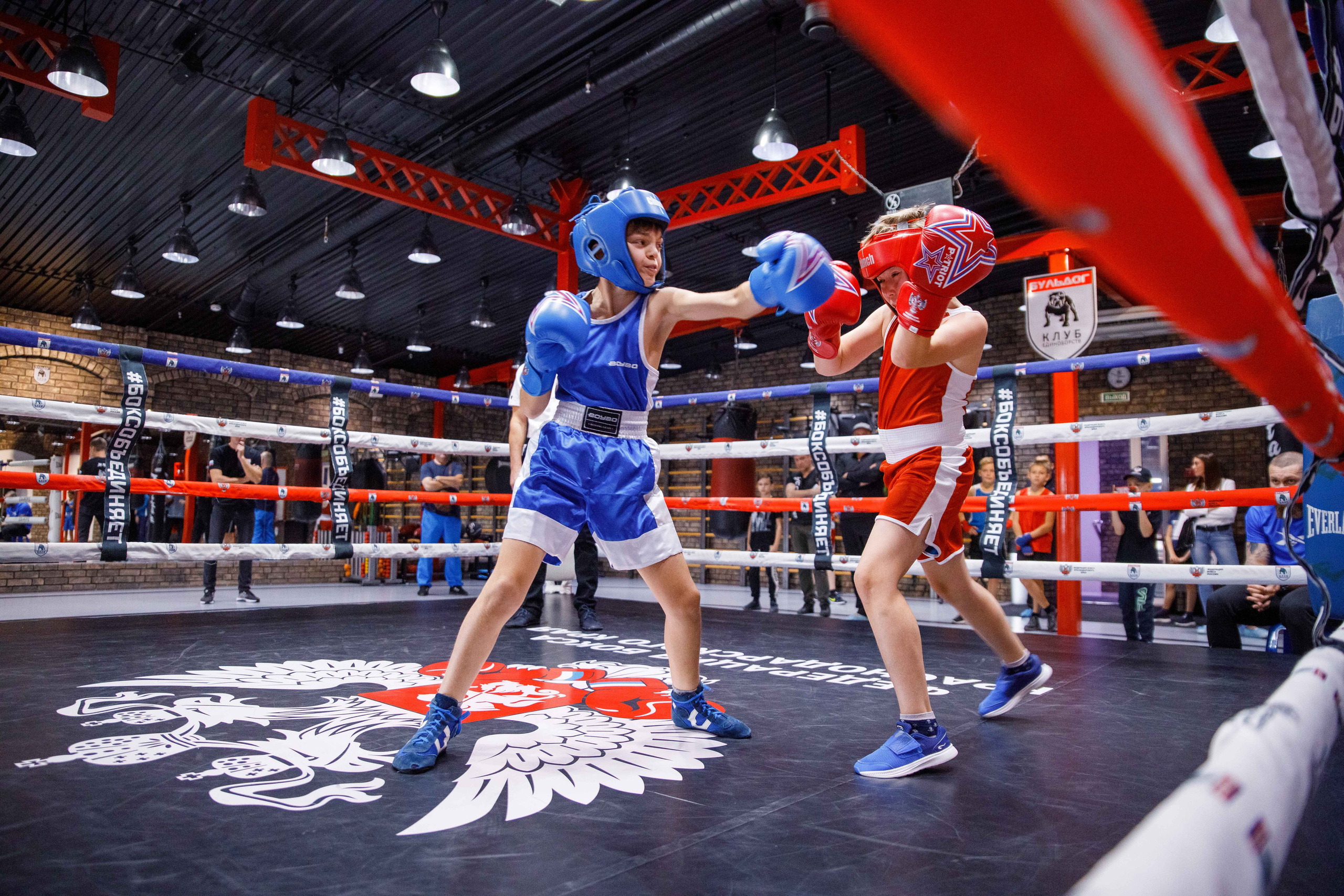 Бокс. Фотограф Андрей Баксов