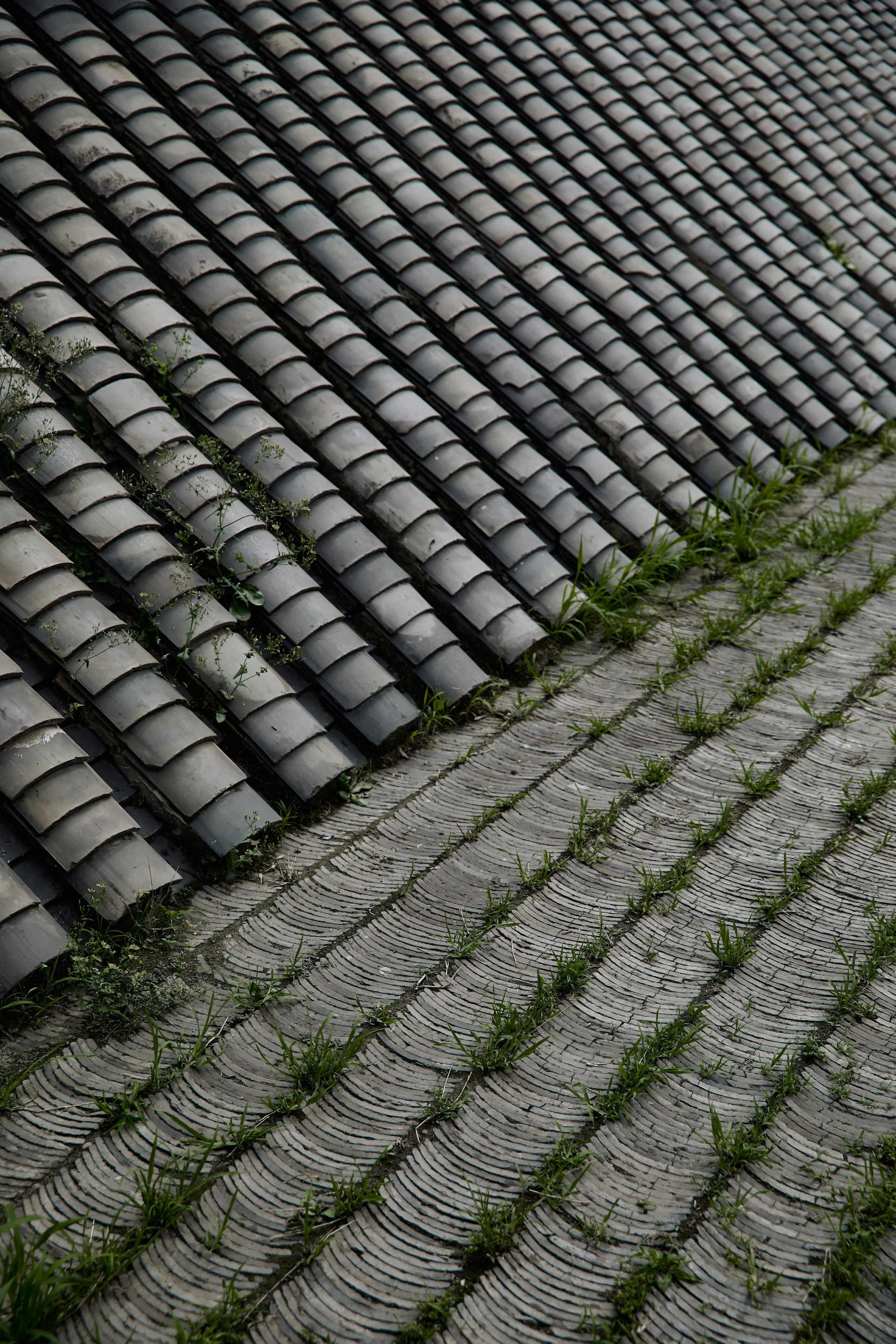 BRICK GALLERY. Предметный фотограф SHONGIN SERGEI