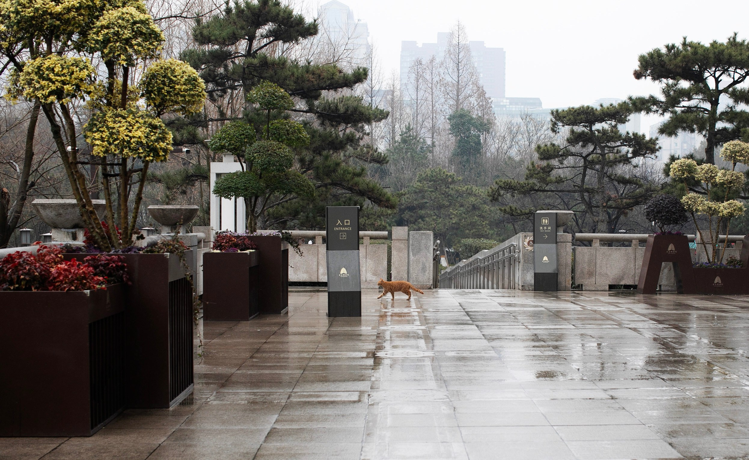 Китай'25: Пекин-Сиань-Шанхай. Фотограф-портретист в Москве