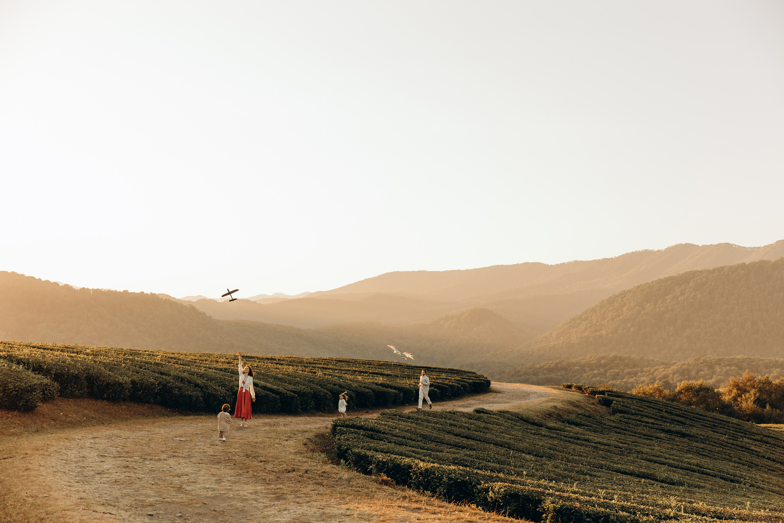 Чайные плантации. Семейный фотограф в Сочи Лашманова Ольга