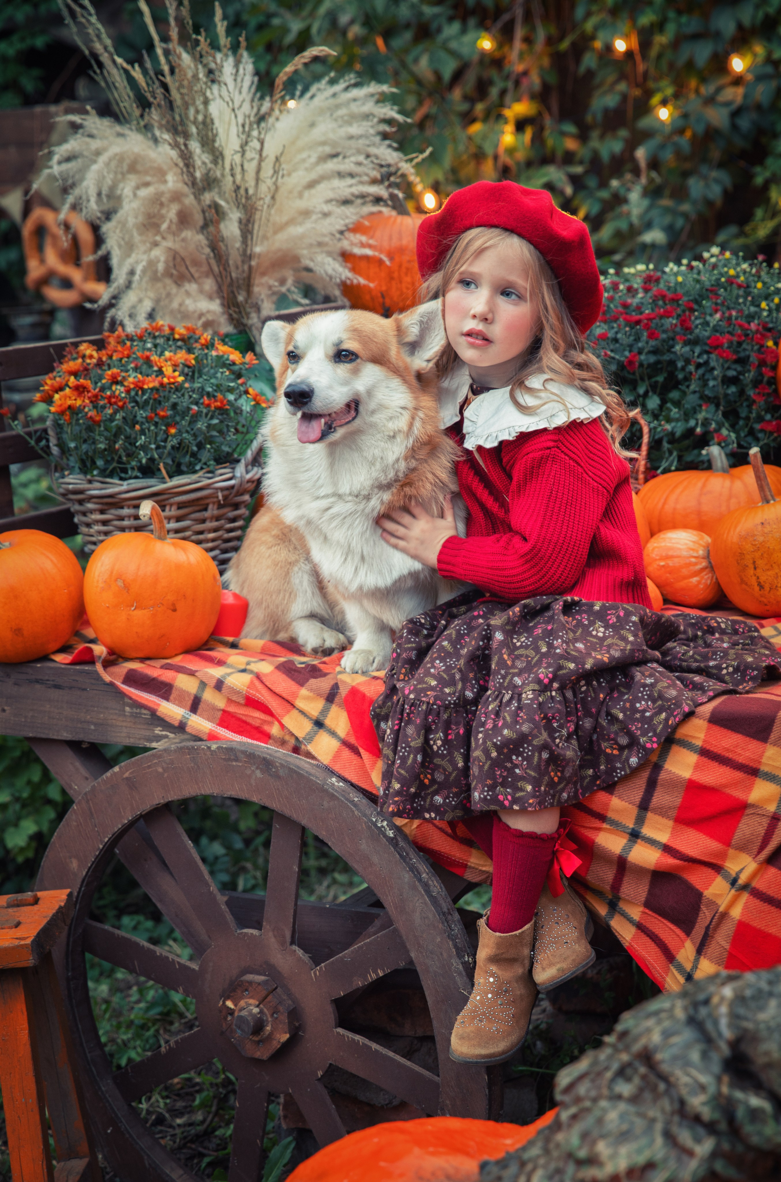 Осенние съемки