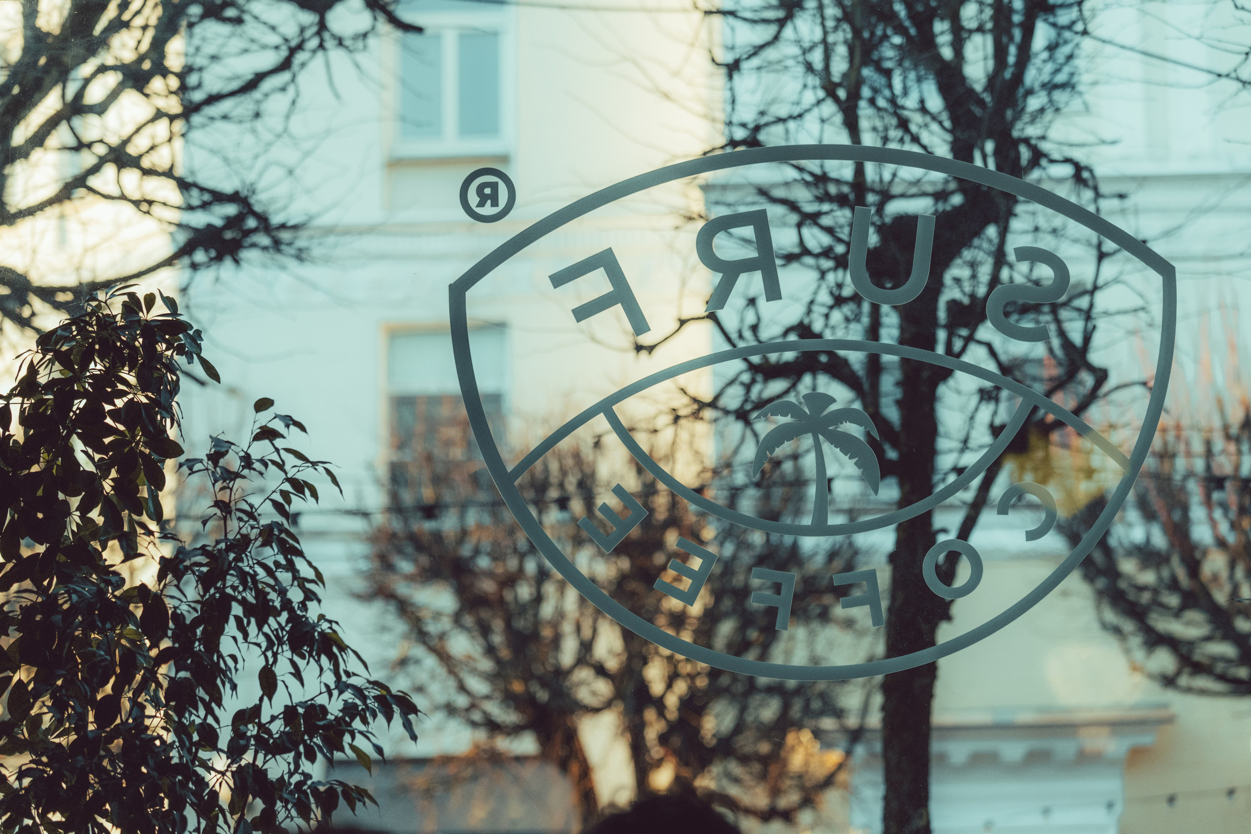 День рождения Surf x Vinyl — Смоленск 22.03.2025. KiPPER Gallery — Фотограф