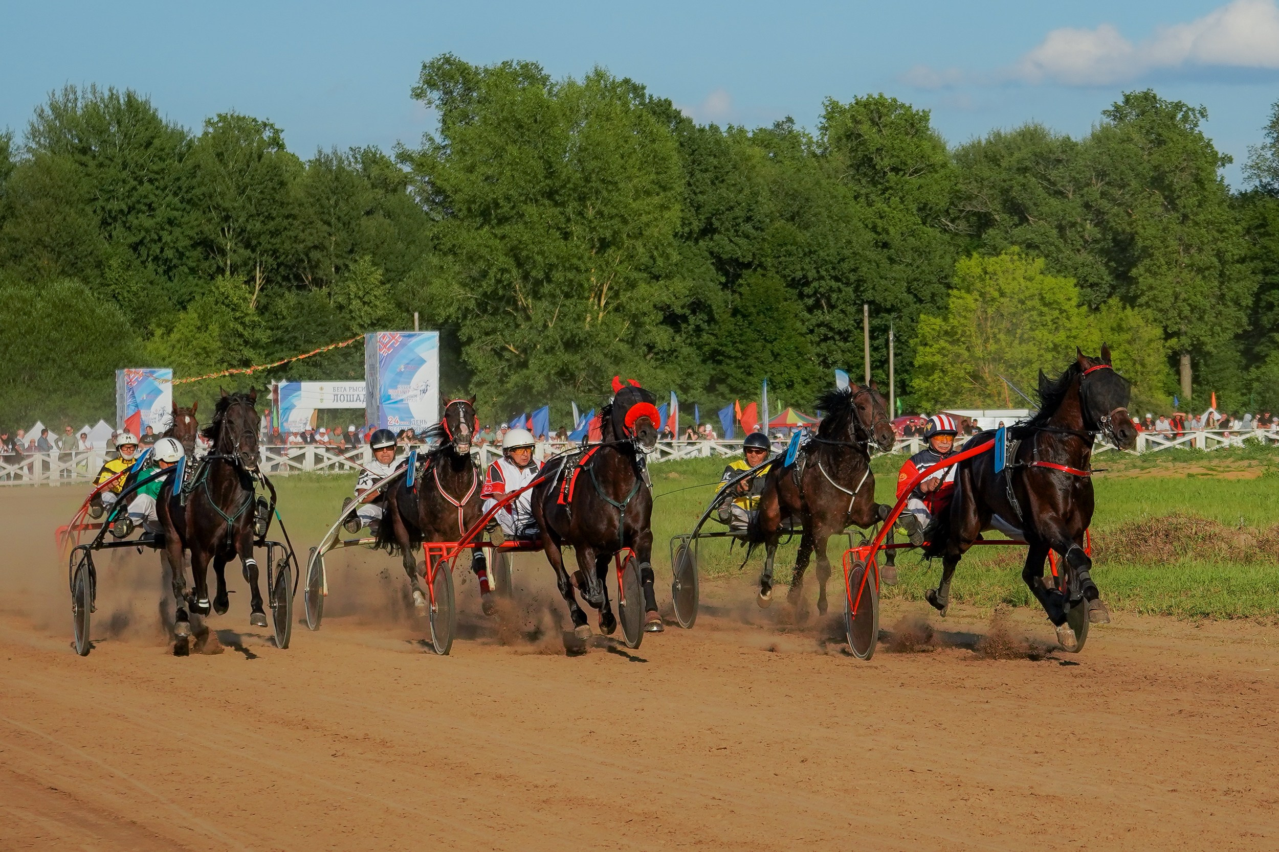 III конные бега на Кубок Главы Чувашии. Фотограф-анималист, портретный фотограф в Чебоксарах Мария Садыкова