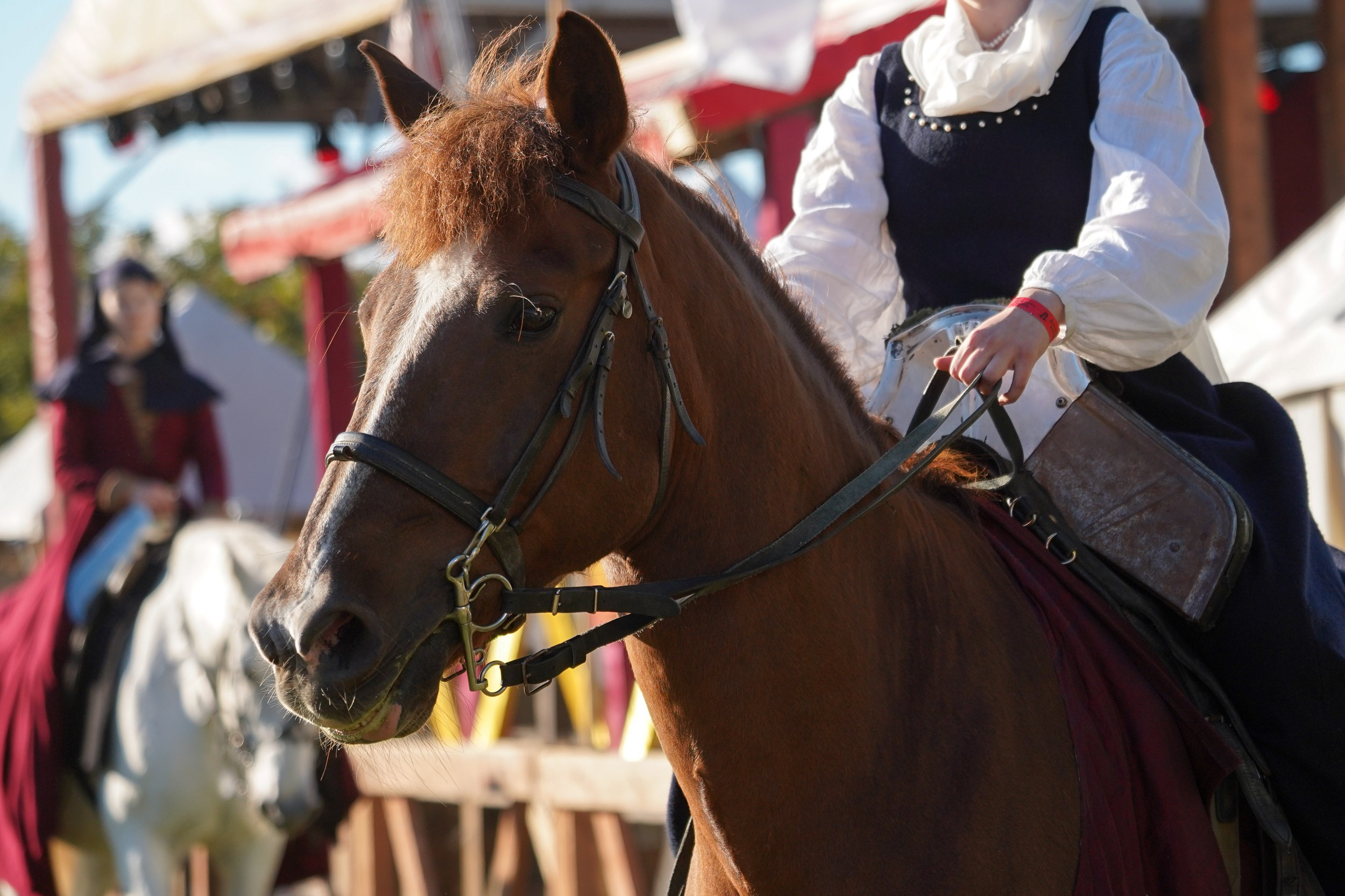 Рыцарский турнир в рамках фестиваля «Битва на Неве» Санкт-Петербург 2024 г. Фотограф-анималист, портретный фотограф в Чебоксарах Мария Садыкова