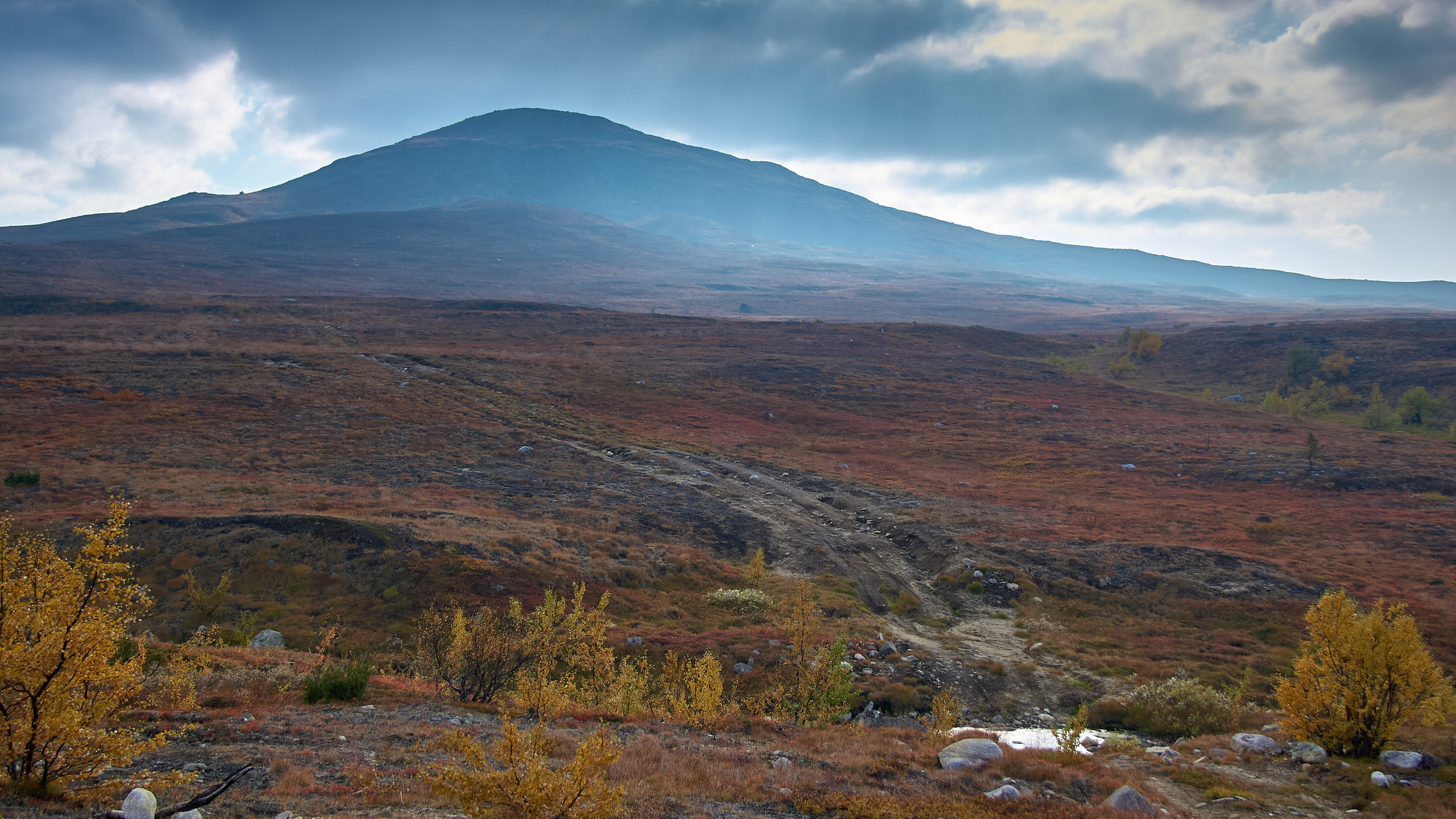 Тундра Лес и Сопки. Пейзажи Крайнего Севера. Баренцево море, Рыбачий, Средний, Немецкий